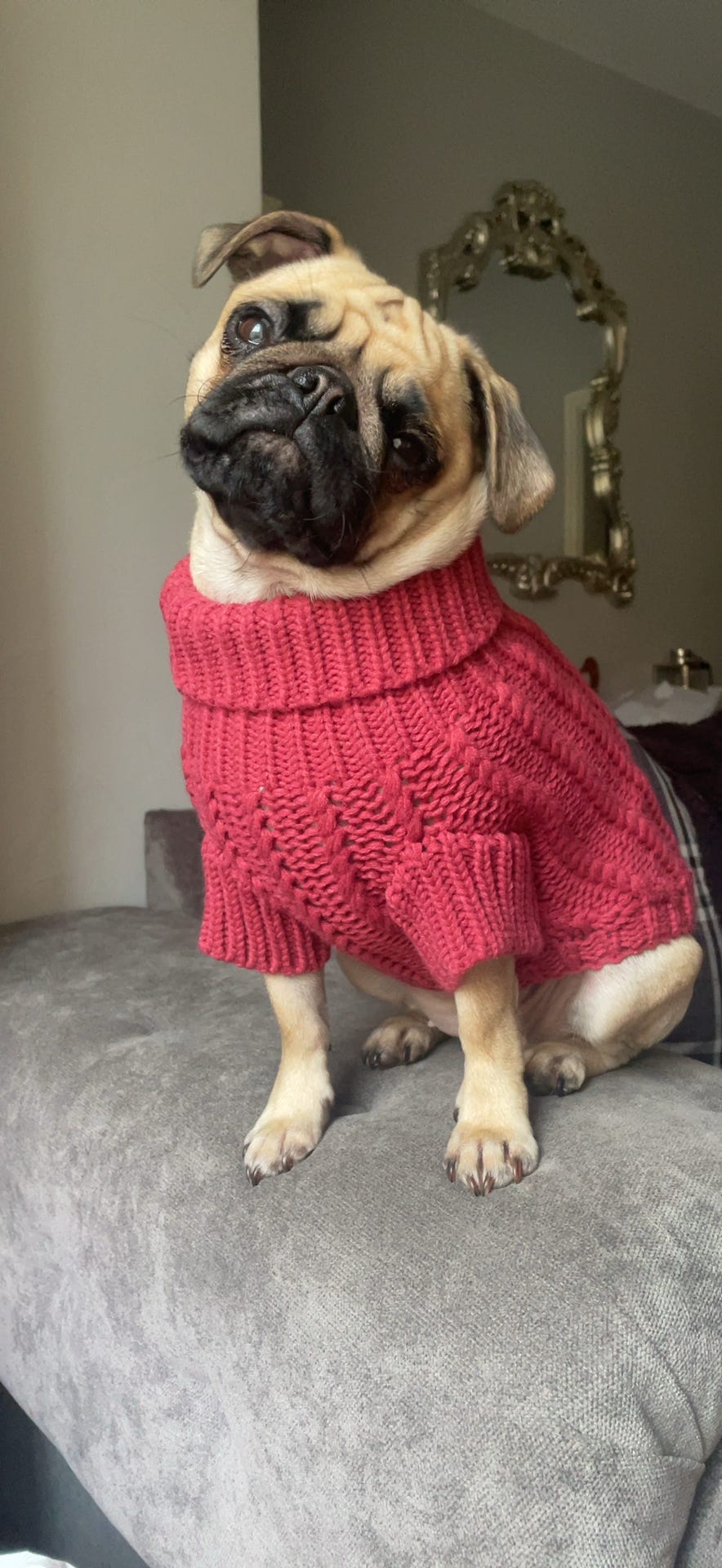 The Cosy Collection - Ruby Red Cosy Knit