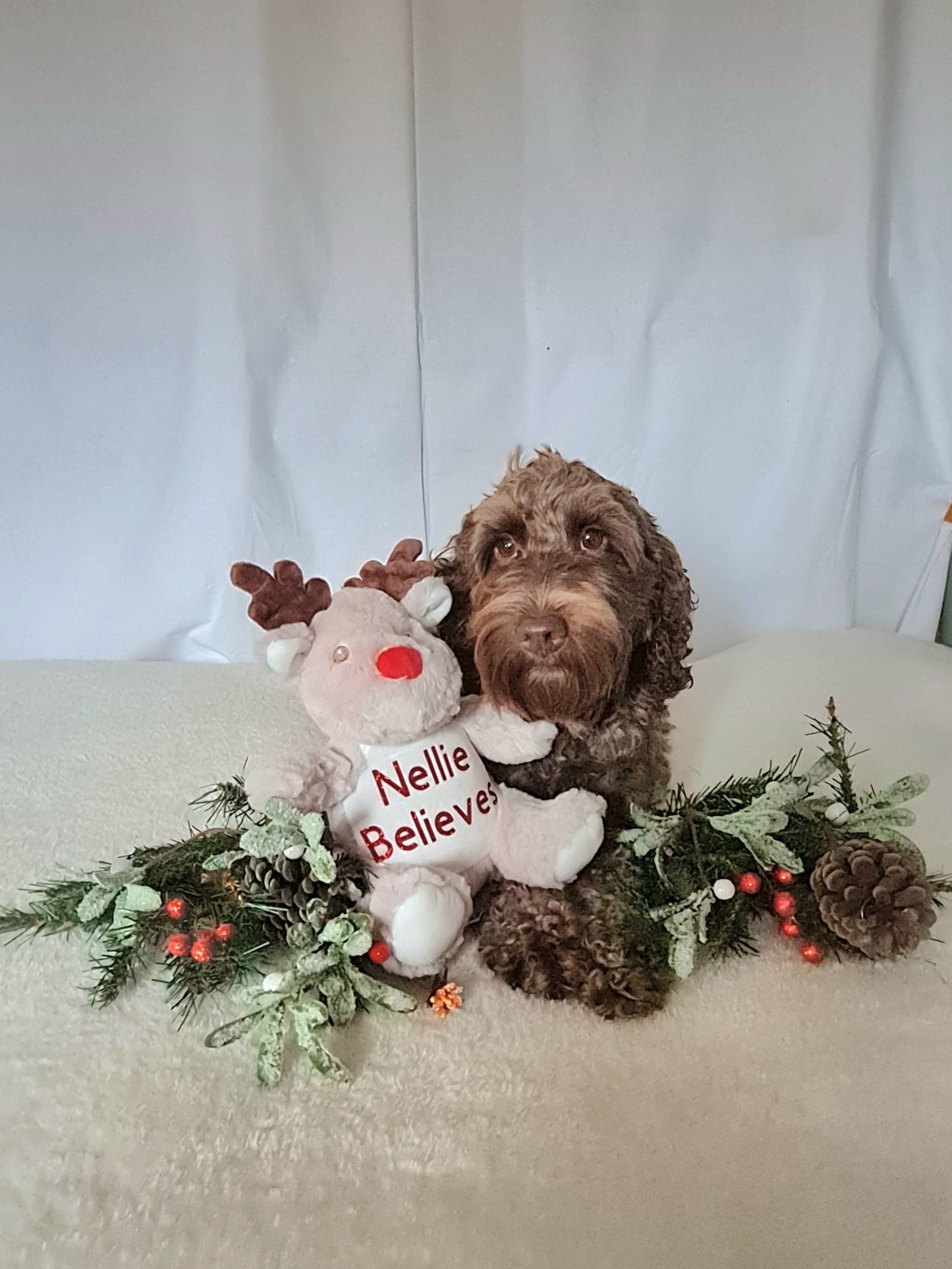 Personalised Christmas Reindeer