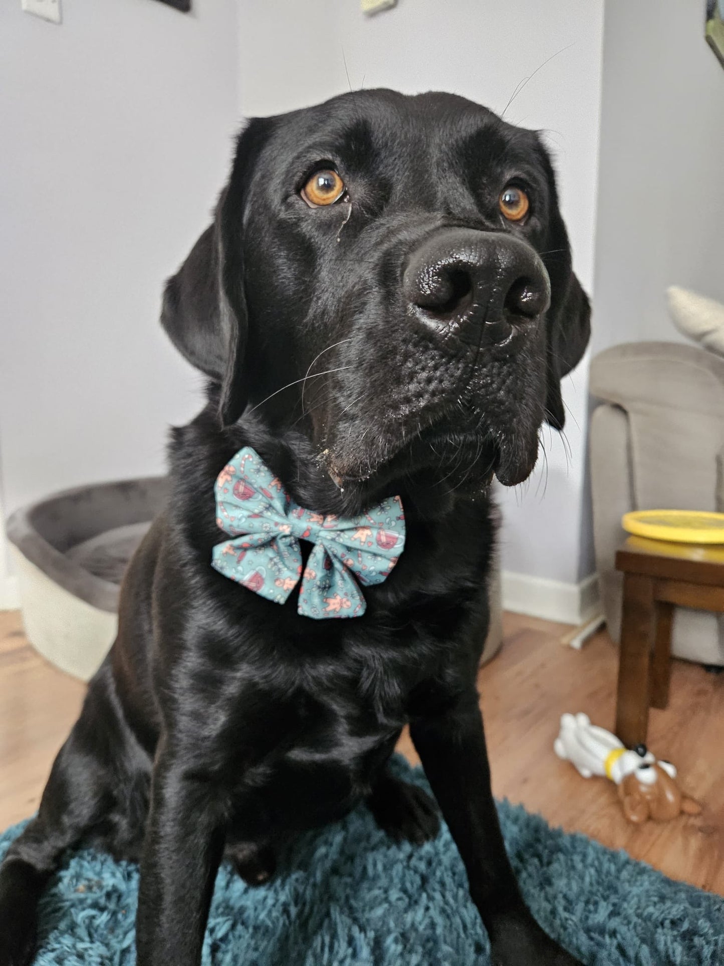 Sailor Bow - Gingerbread Kisses & Mistletoe Wishes