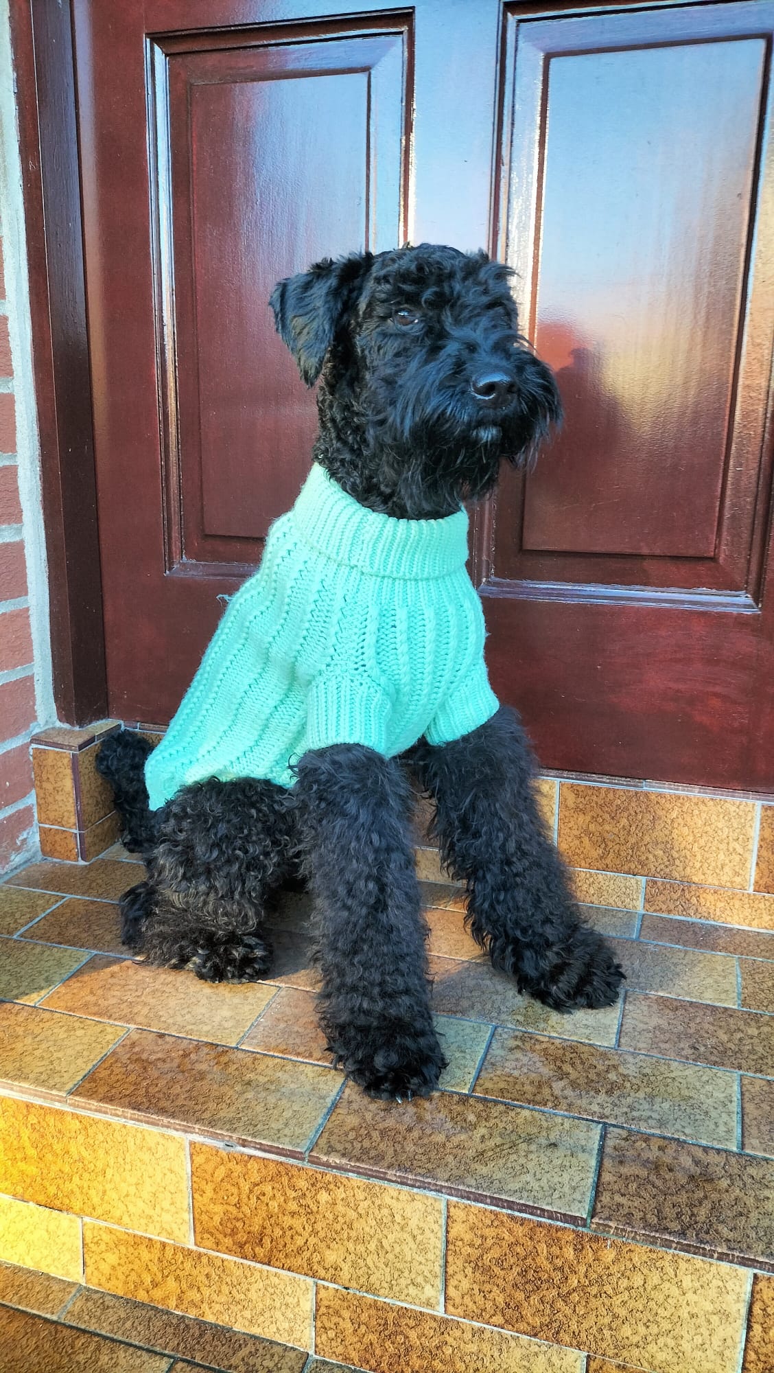 The Cosy Collection - Secret Garden Green Cosy Knit