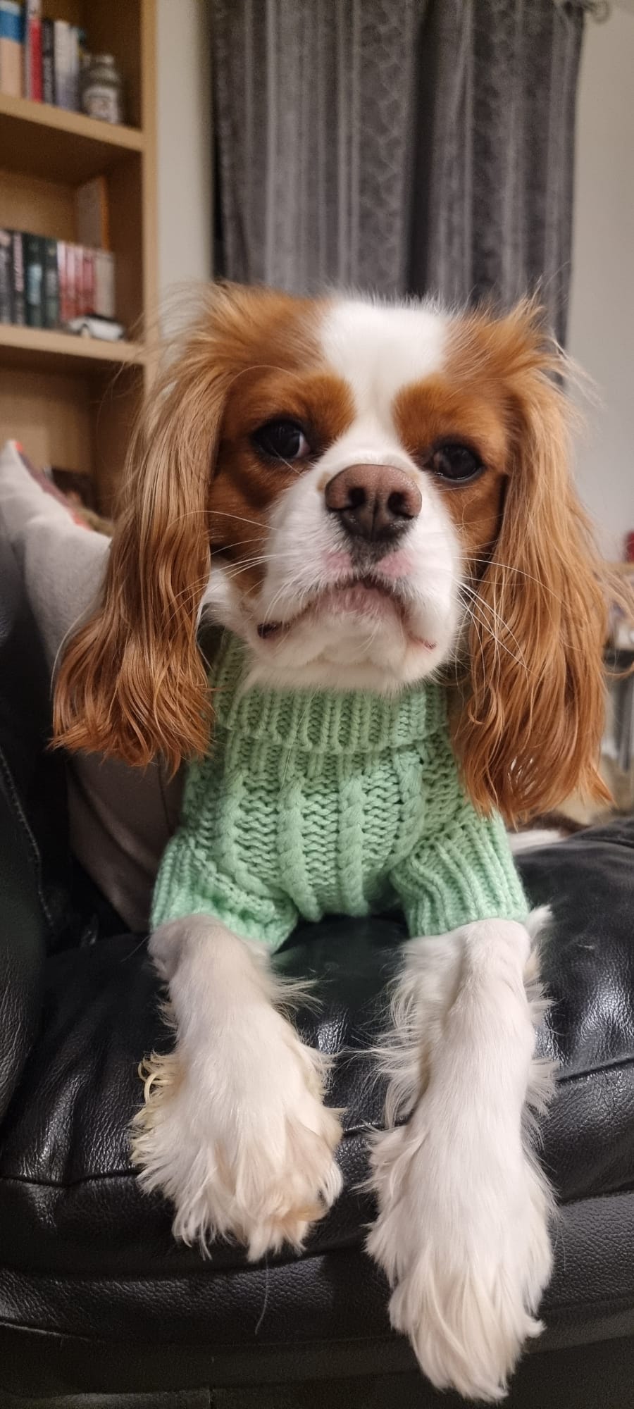 The Cosy Collection - Secret Garden Green Cosy Knit