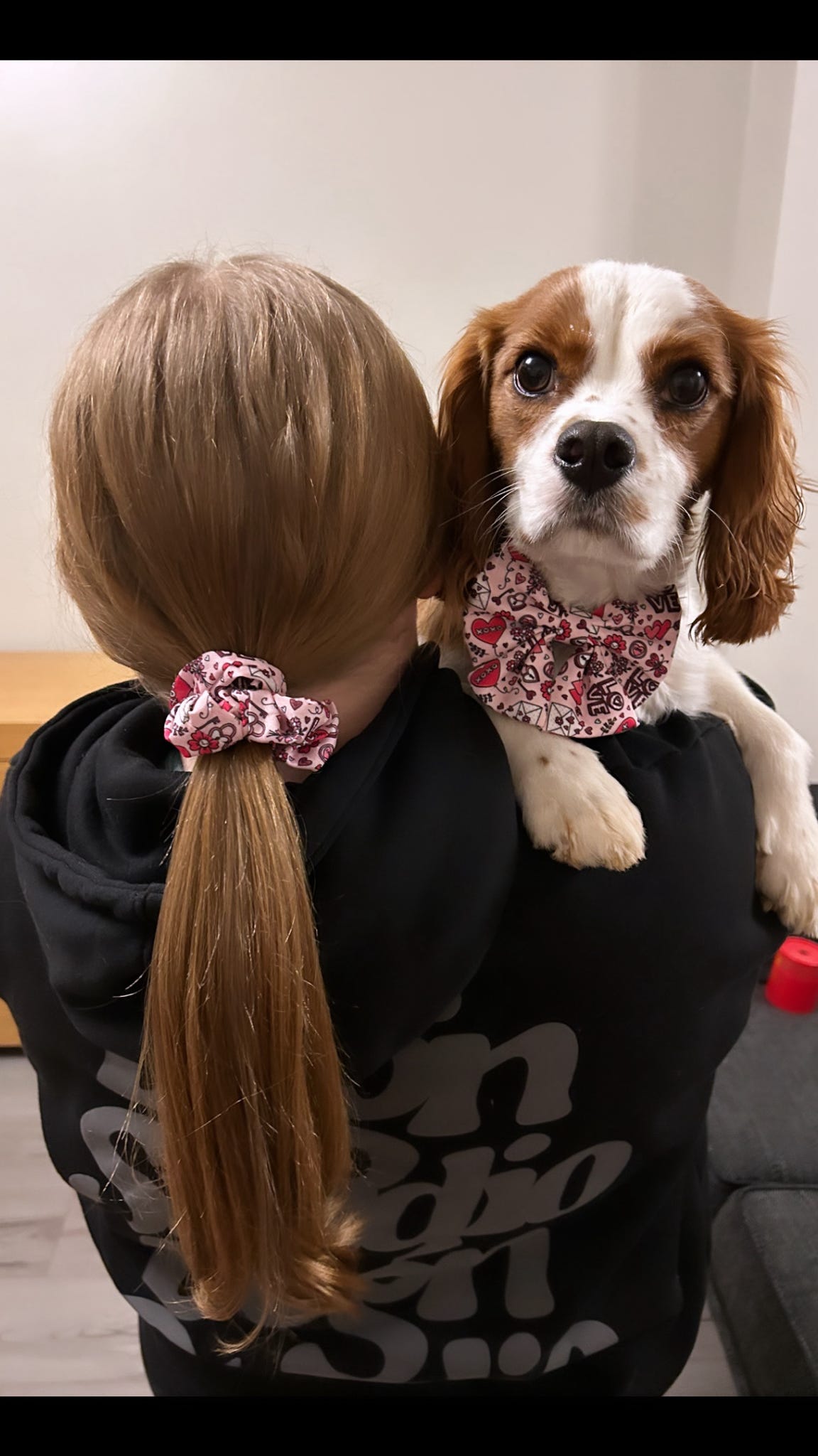 Scrunchie - Love Story