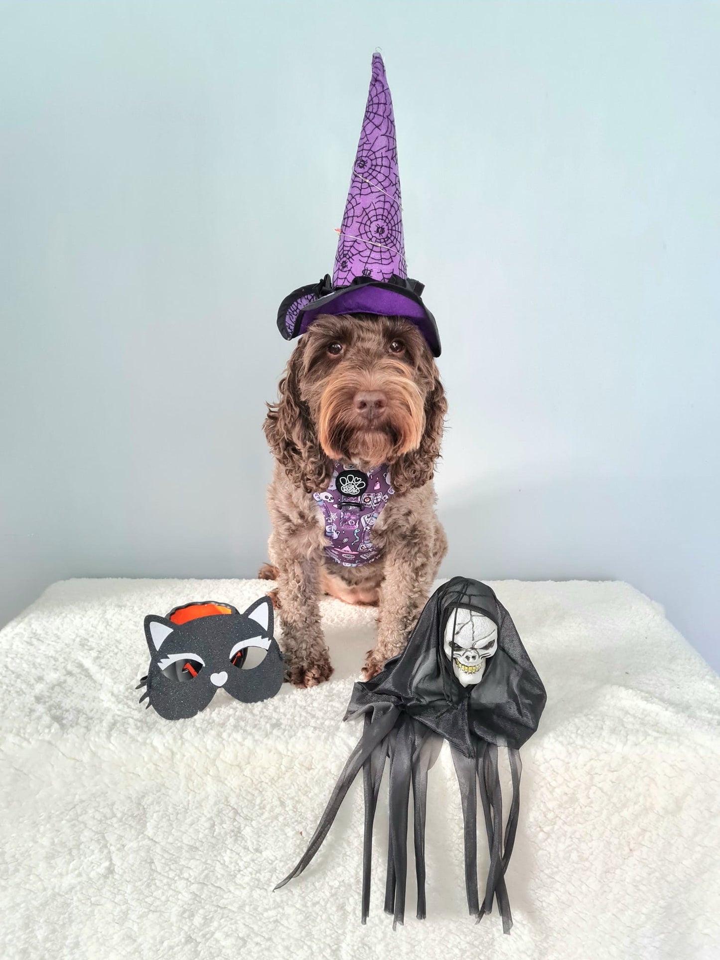 Adjustable Harness - Spellbound