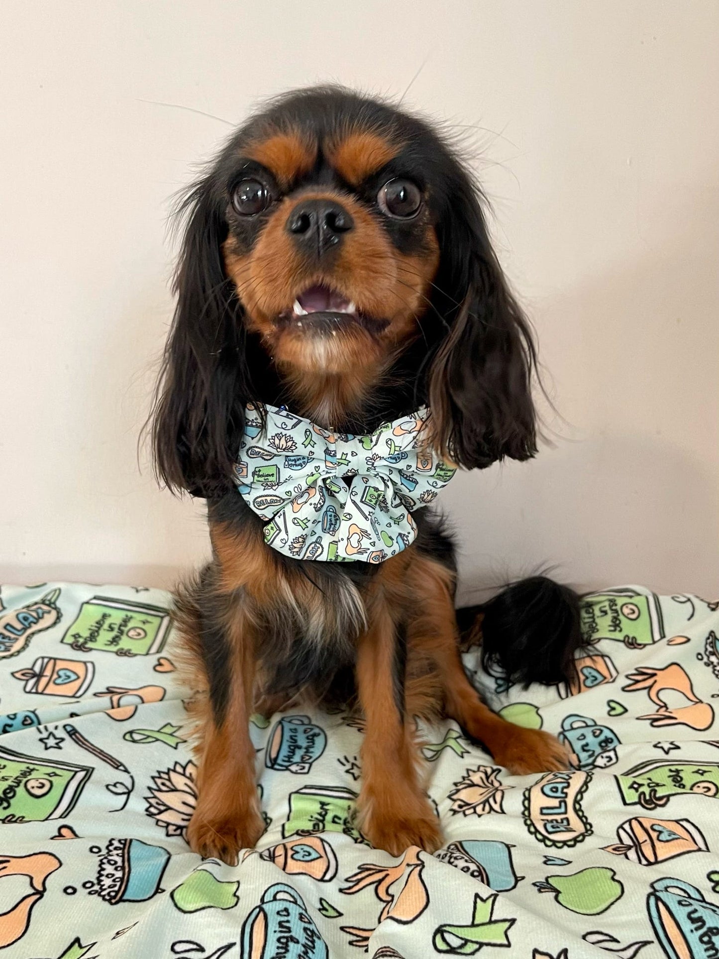 Sailor Bow - Pawsitivity