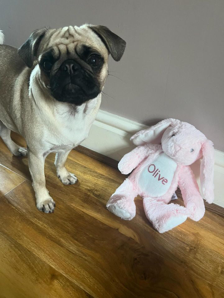 Personalised Pink Bunny
