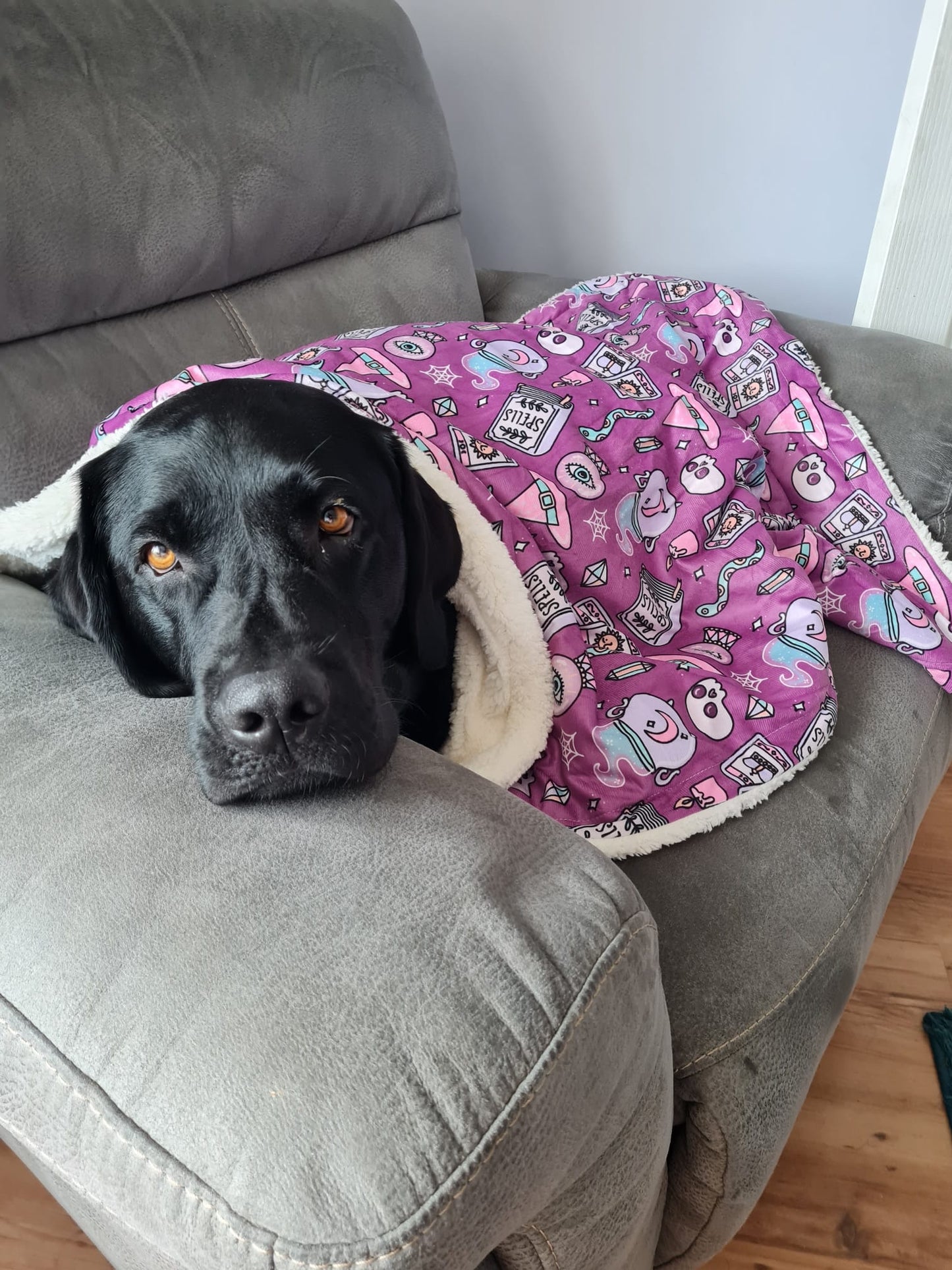 Dog Blanket - Spellbound