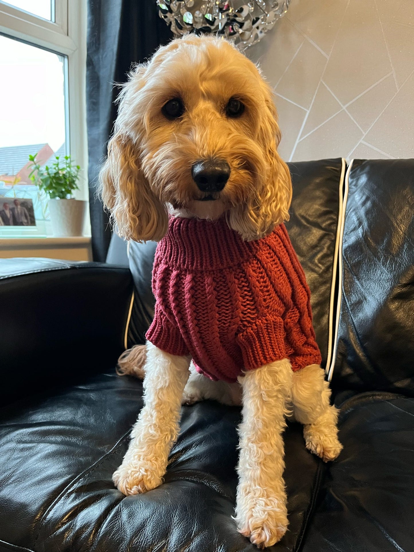 The Cosy Collection - Ruby Red Cosy Knit