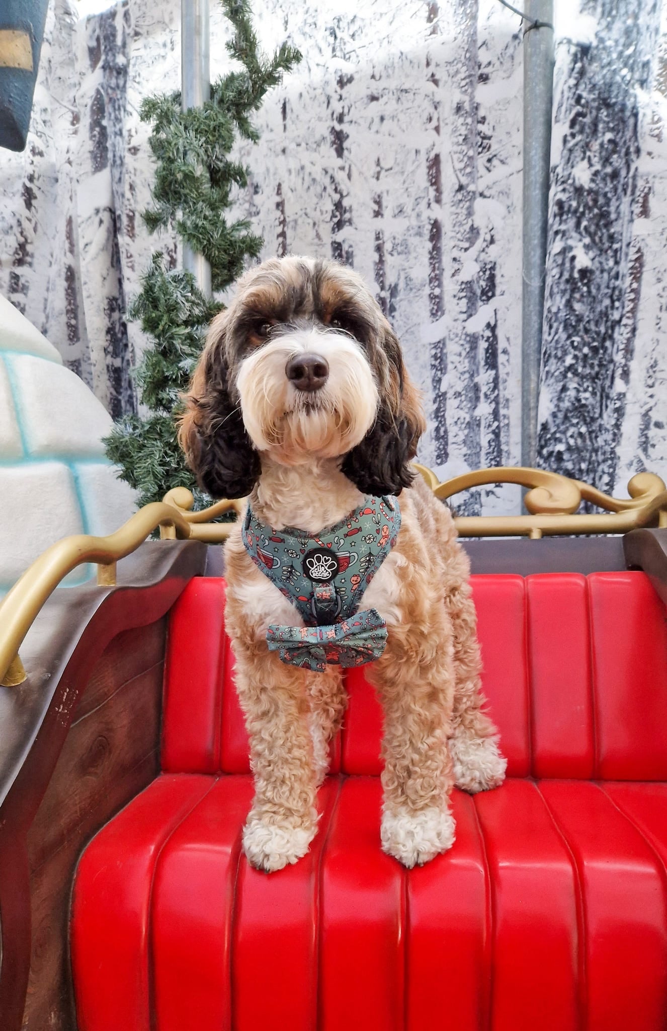 Adjustable Harness - Gingerbread Kisses & Mistletoe Wishes