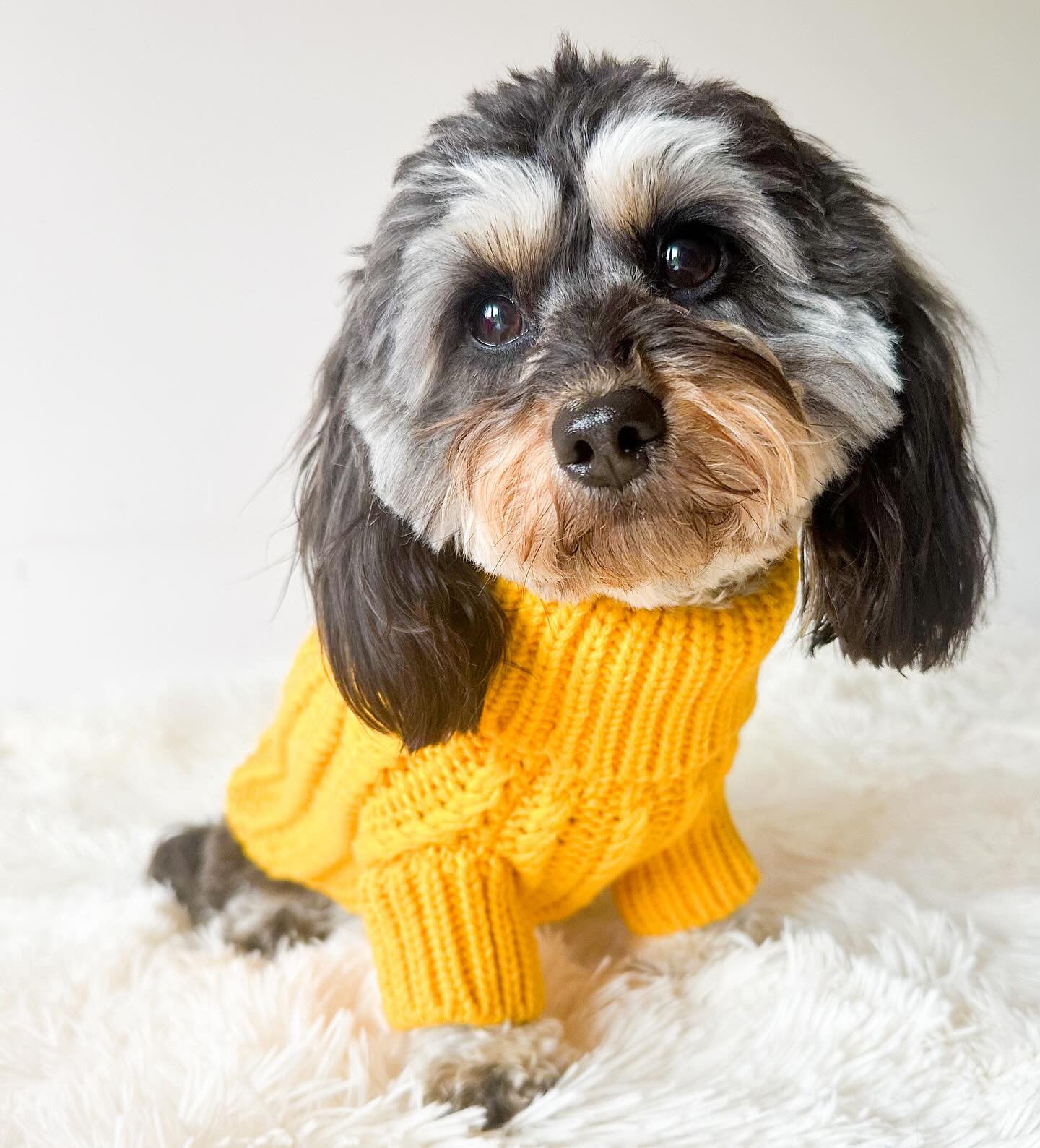 The Cosy Collection - Daffodil Yellow Cosy Knit