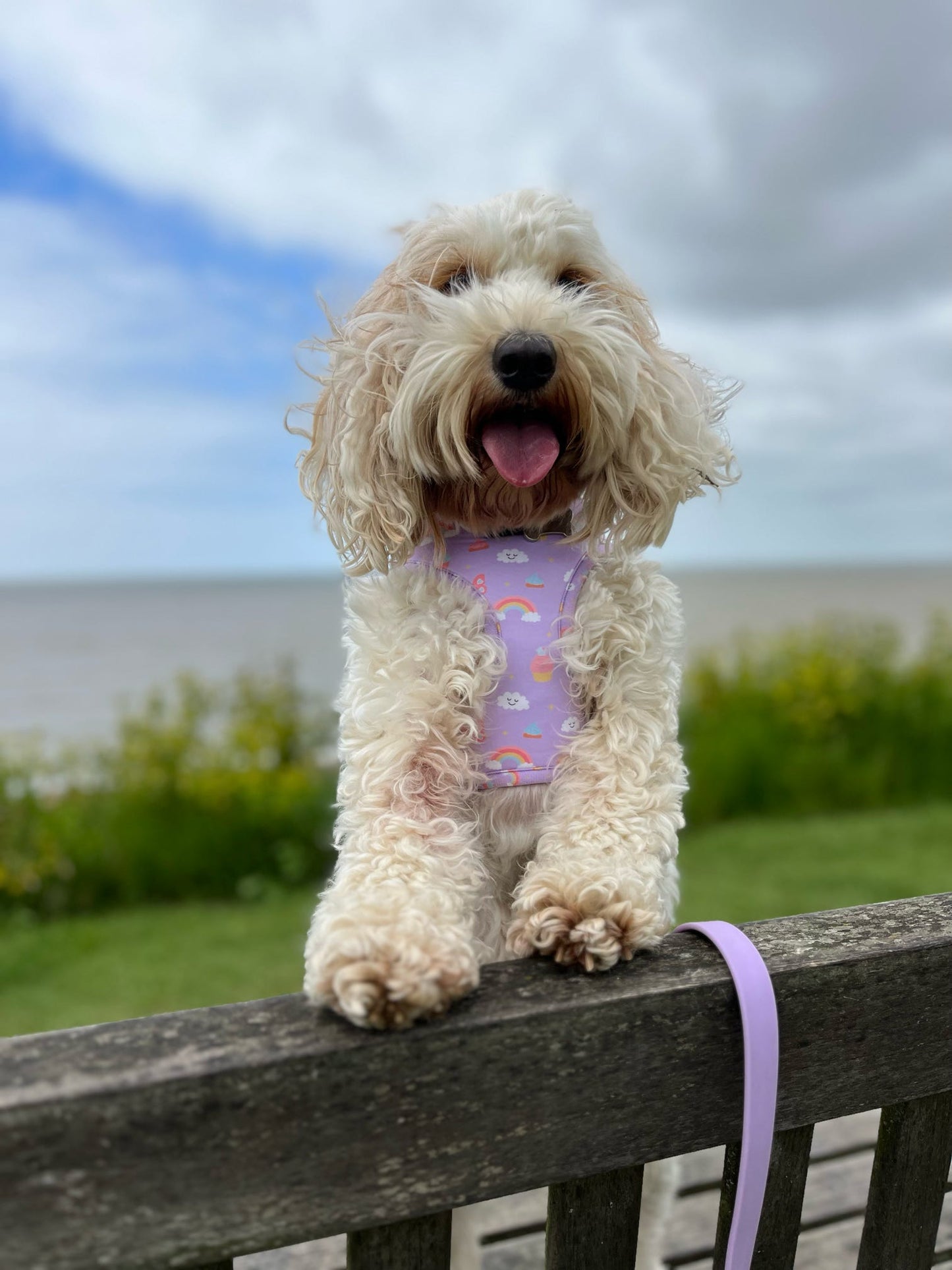Adjustable Harness - Happiness