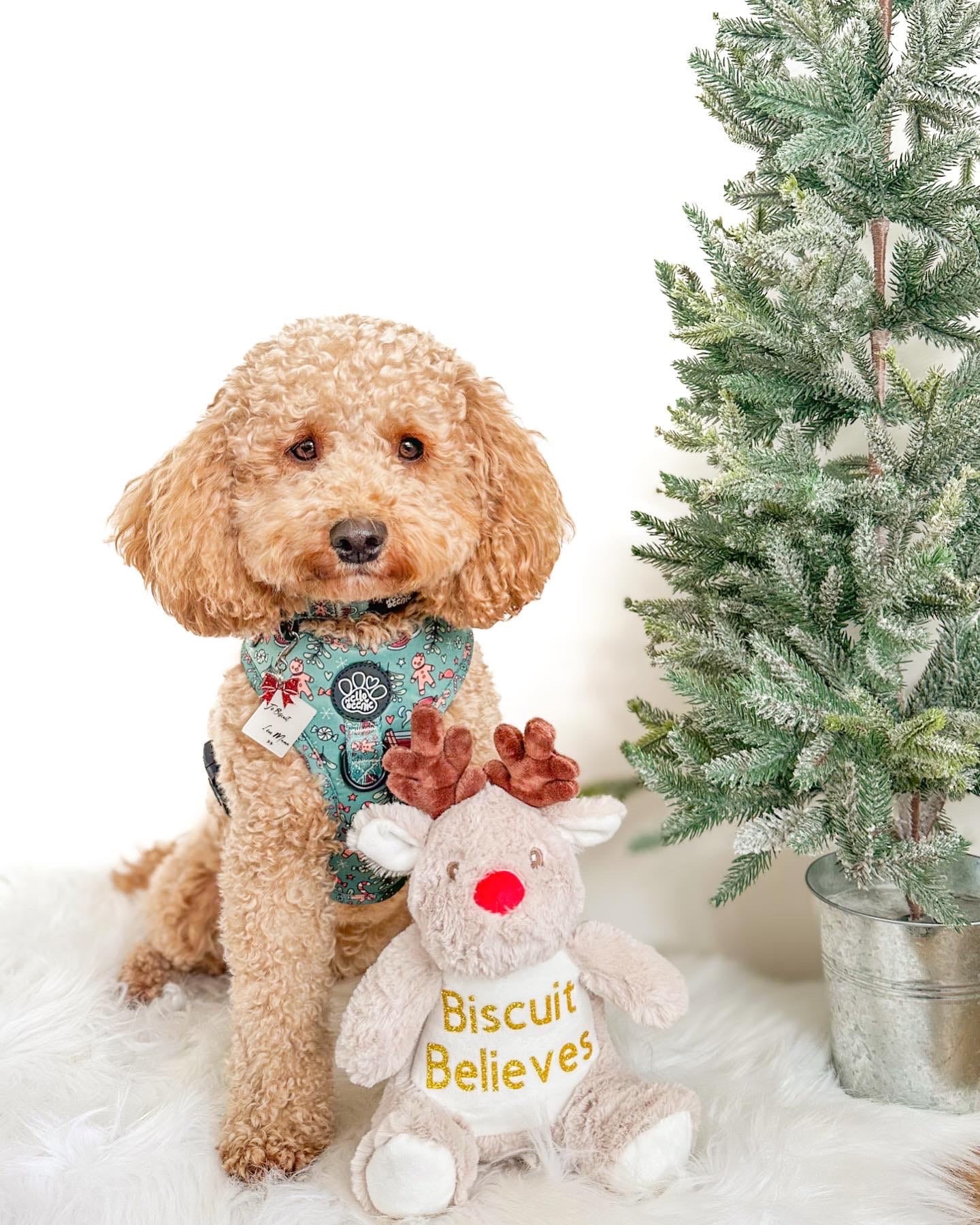 Personalised Christmas Reindeer