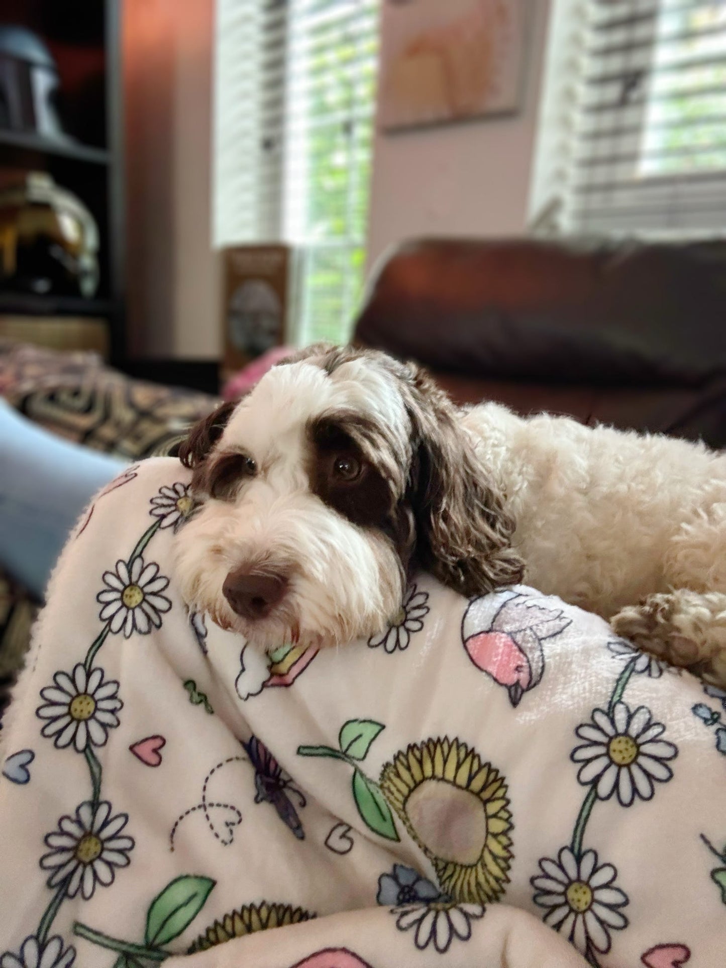 Supersized Blanket - Over The Rainbow