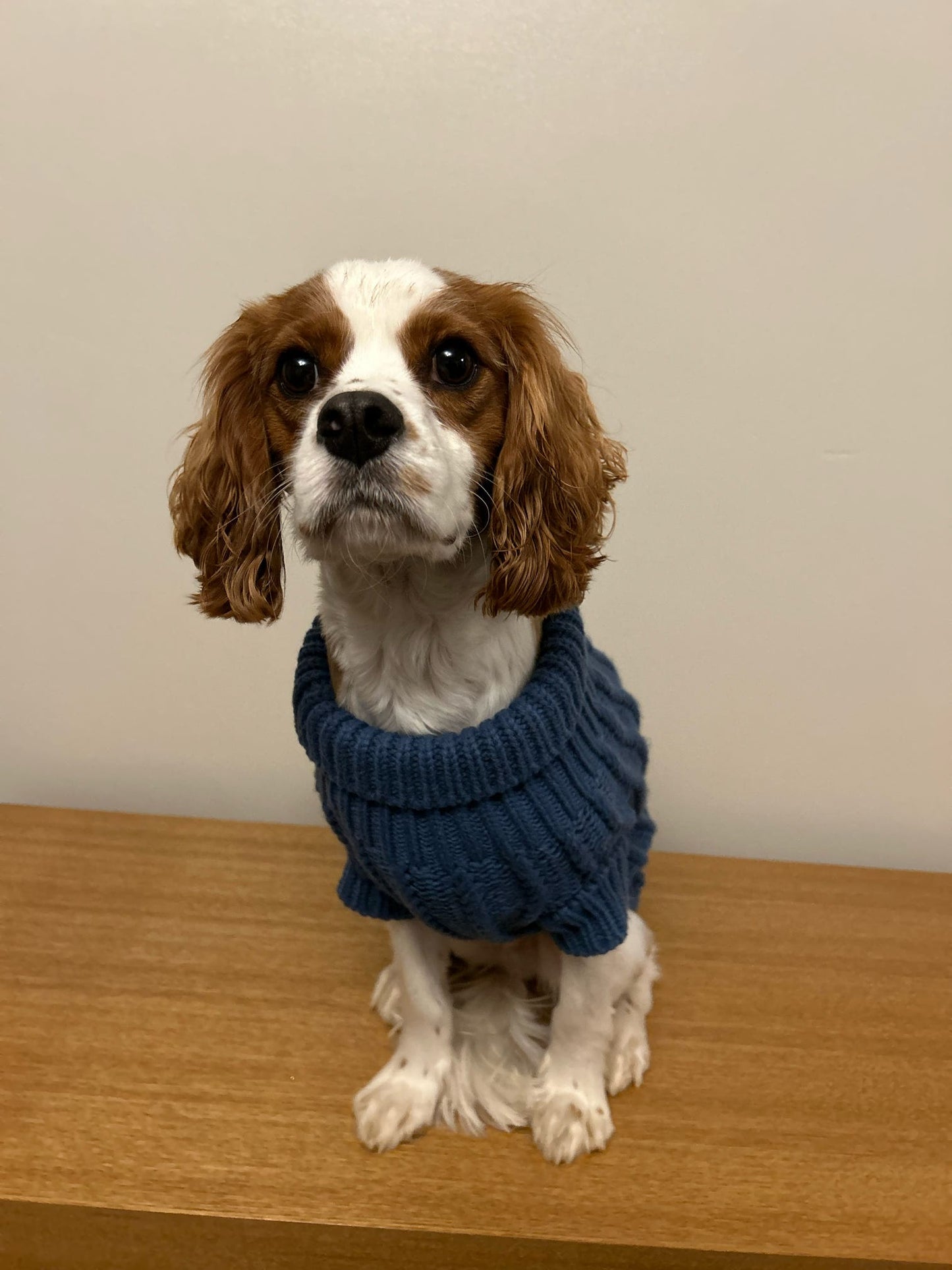 The Cosy Collection - Bluebell Cosy Knit