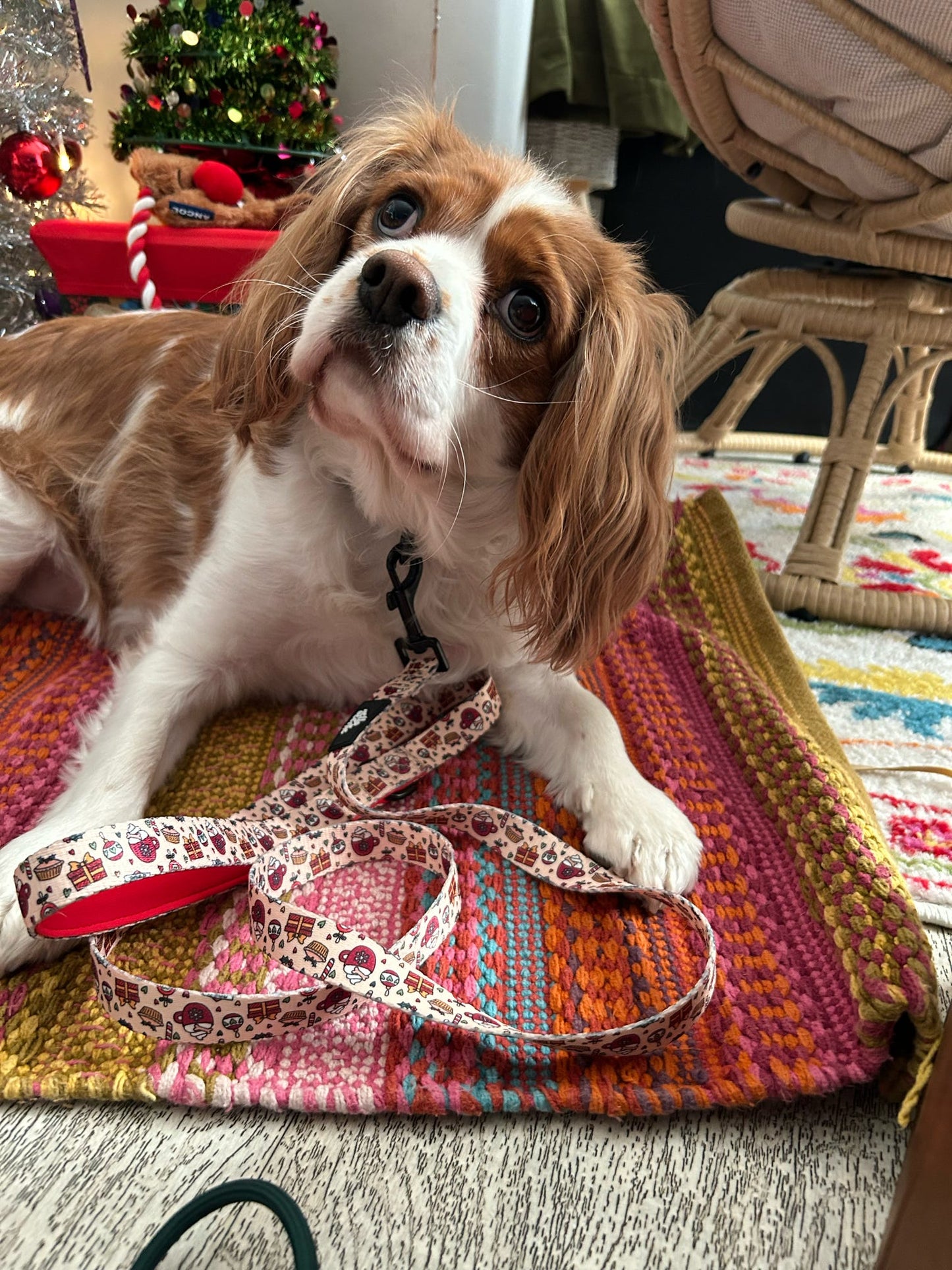 Lead - Here Comes Santa Paws