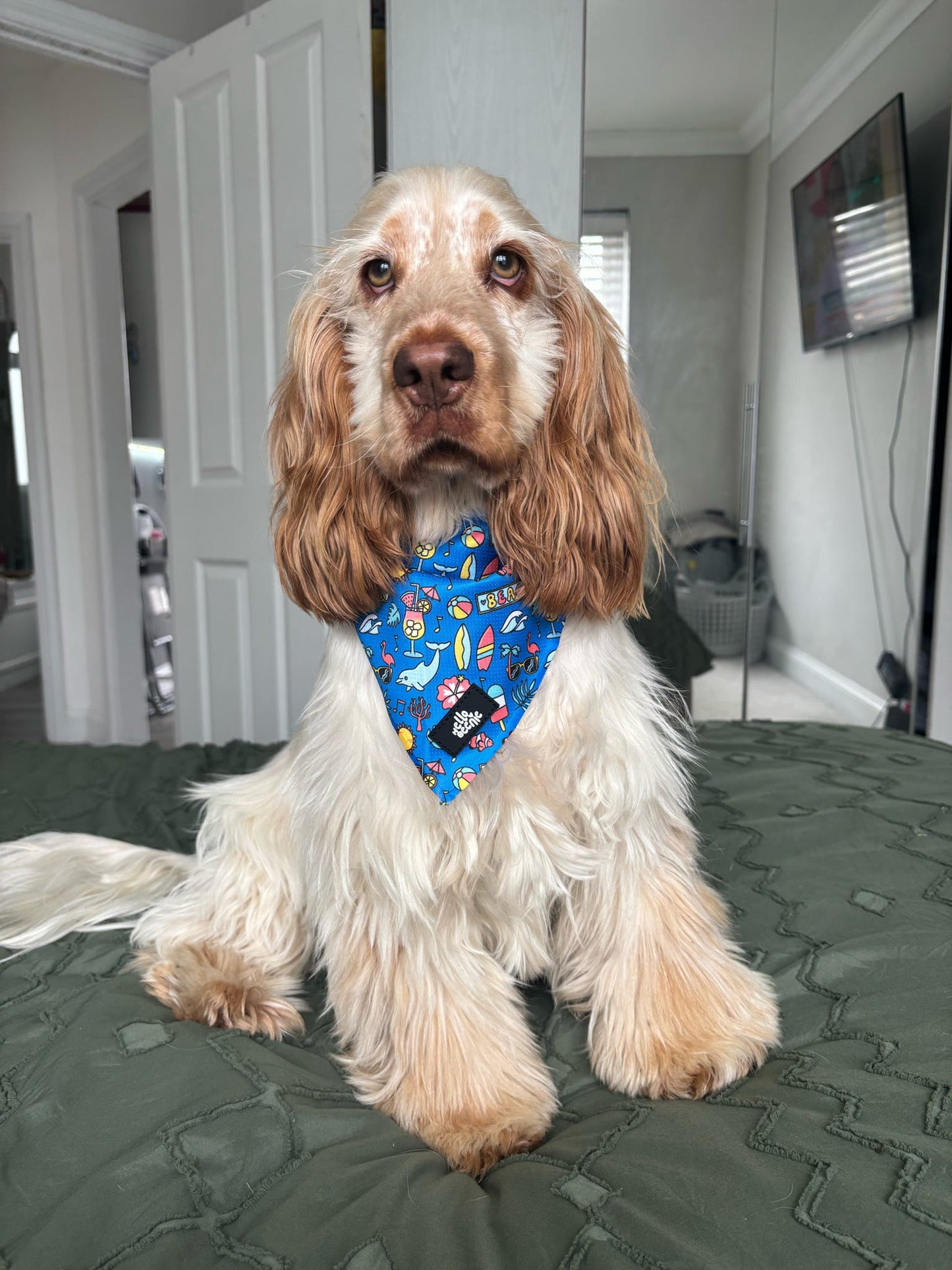 Bandana - Summer Loving