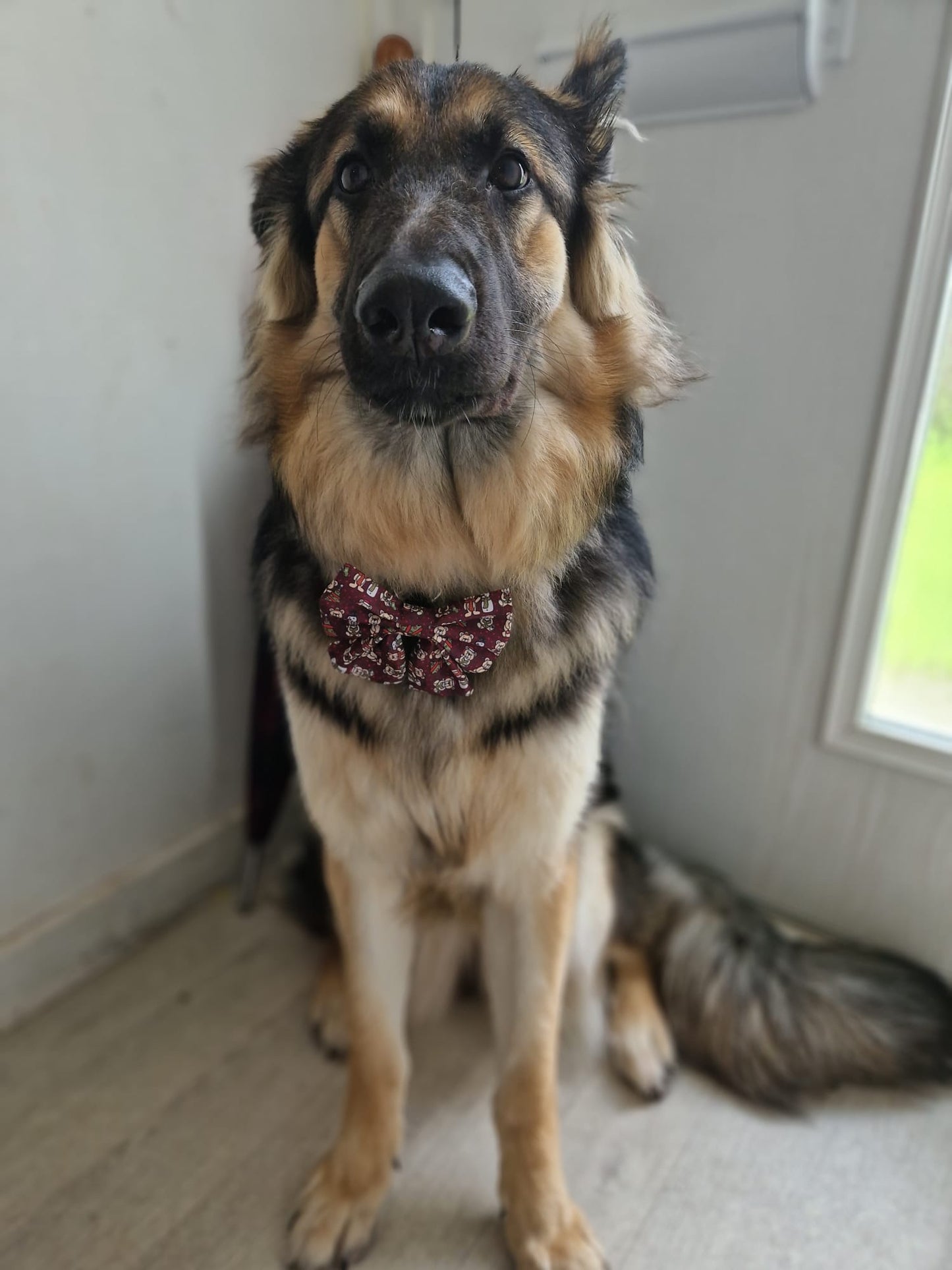 Sailor Bow - Beenie Bear