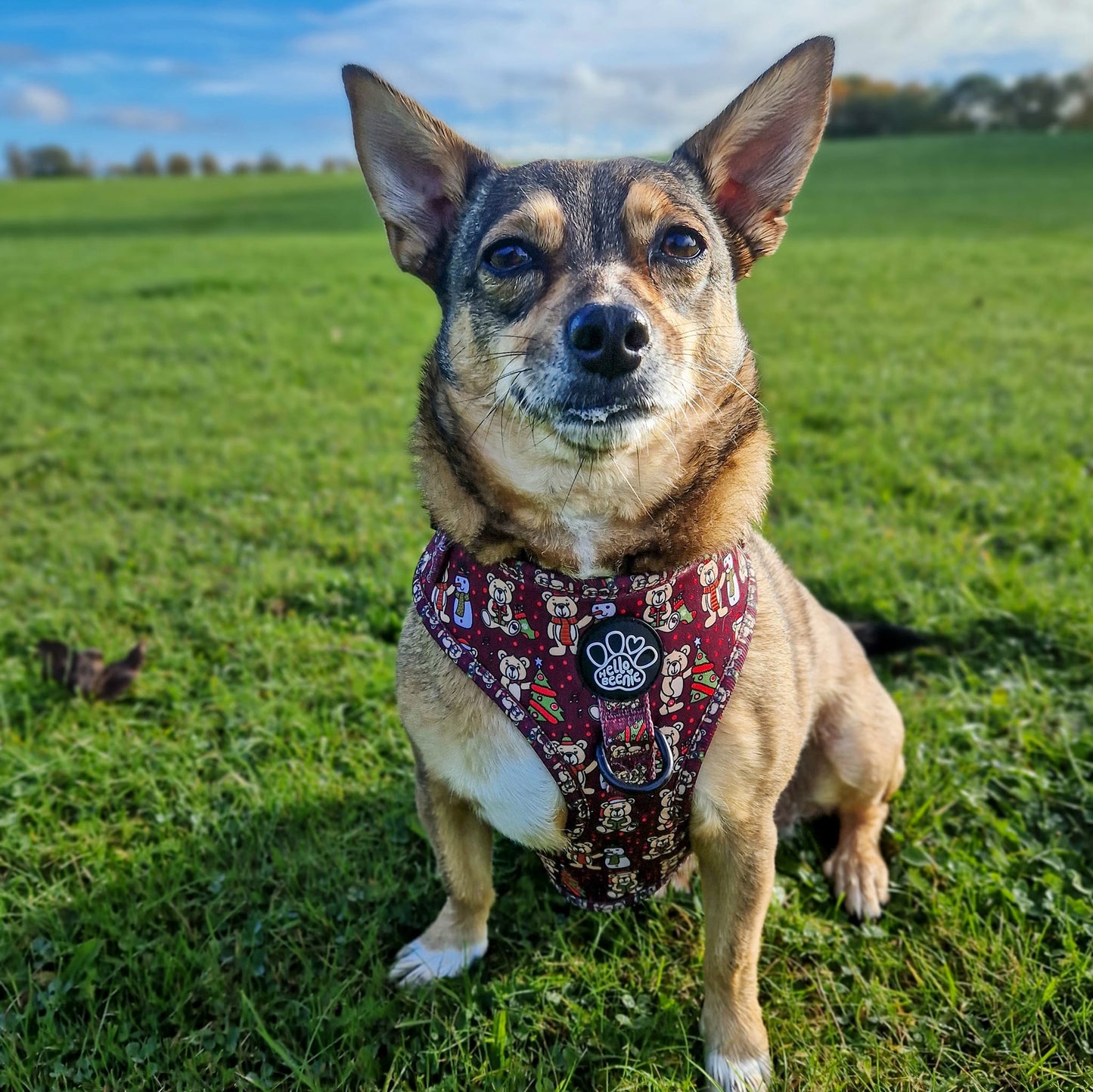 Adjustable Harness - Beenie Bear