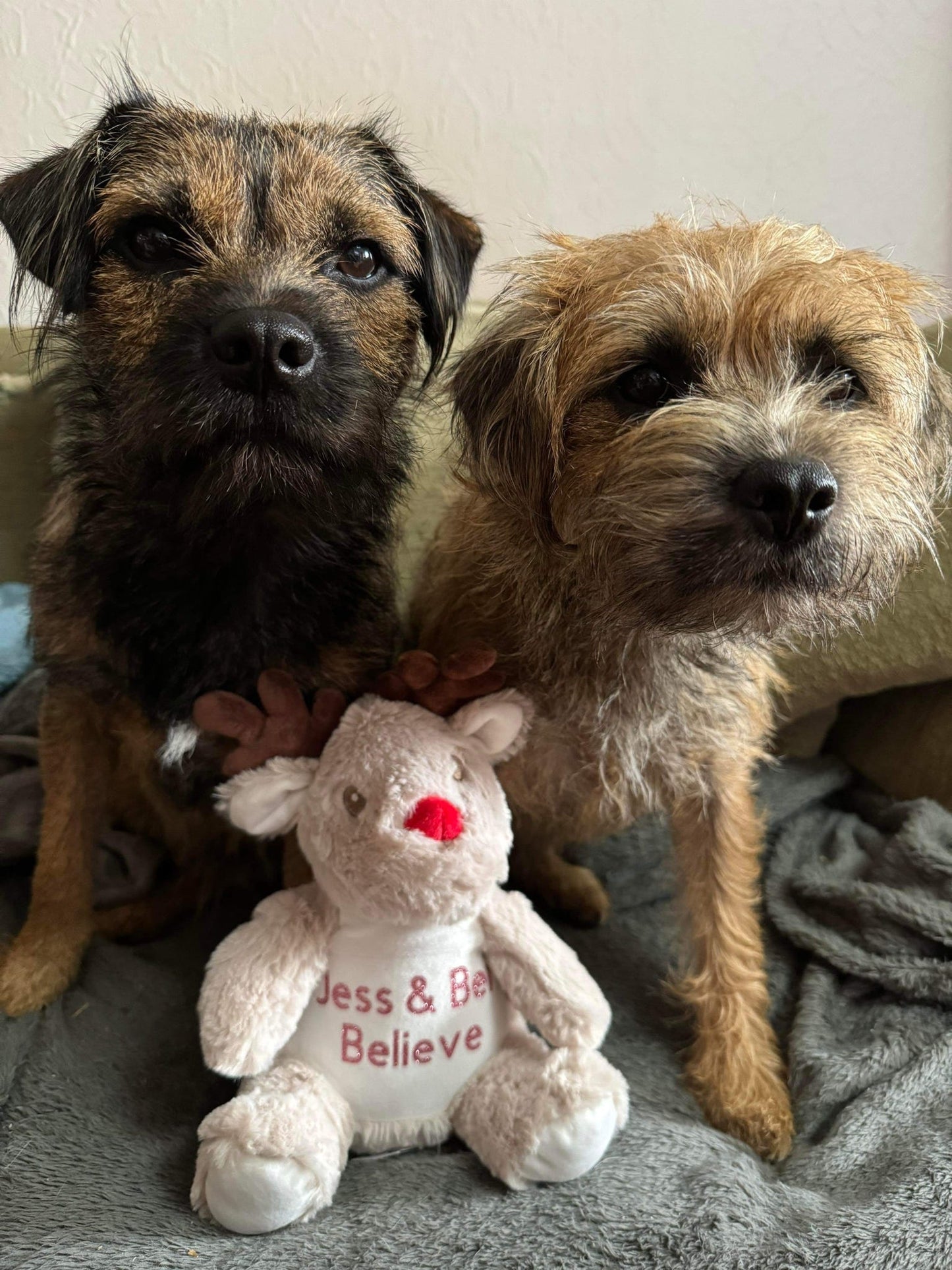 Personalised Christmas Reindeer