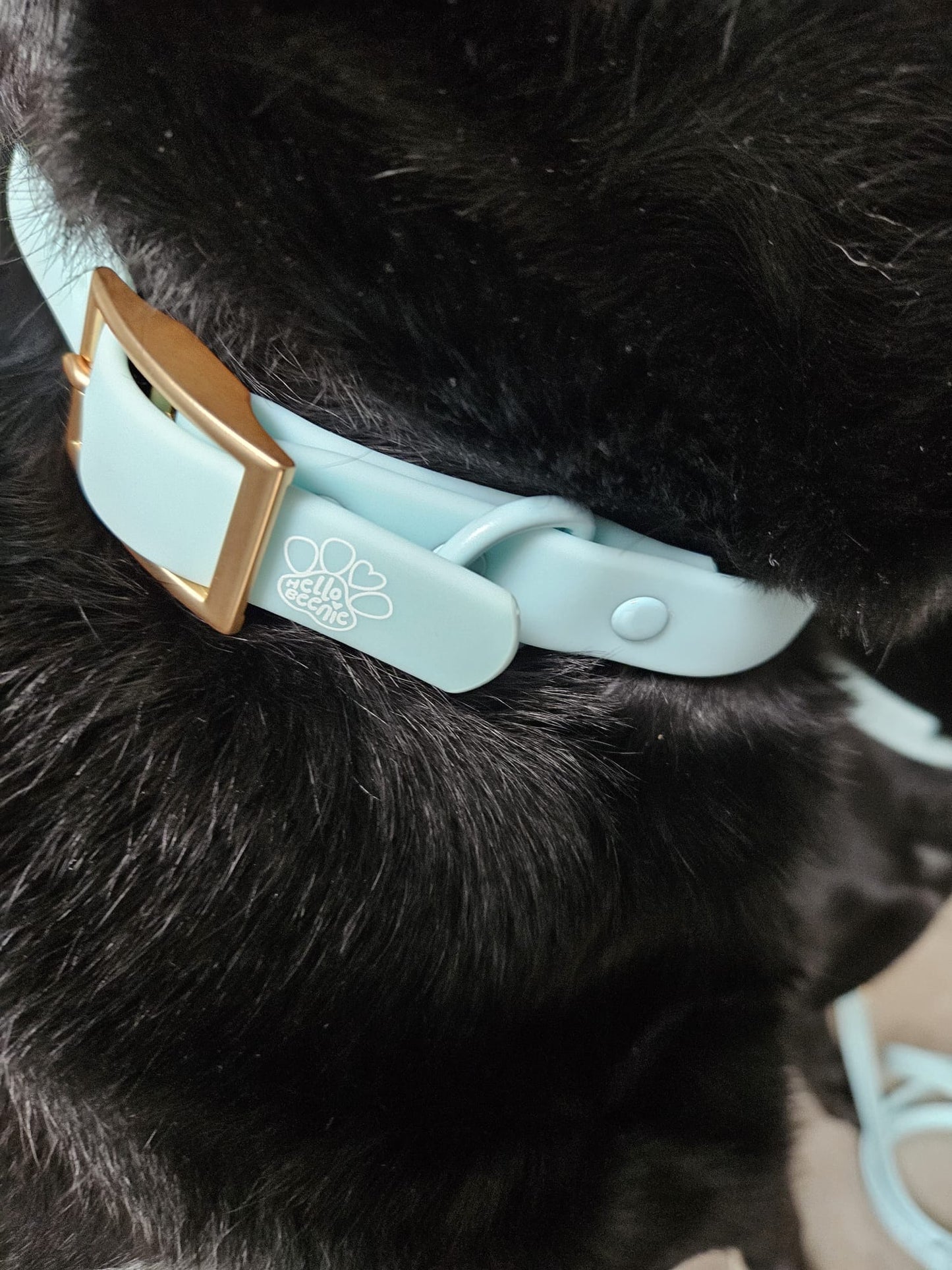 Waterproof Collar - Pastel Blue