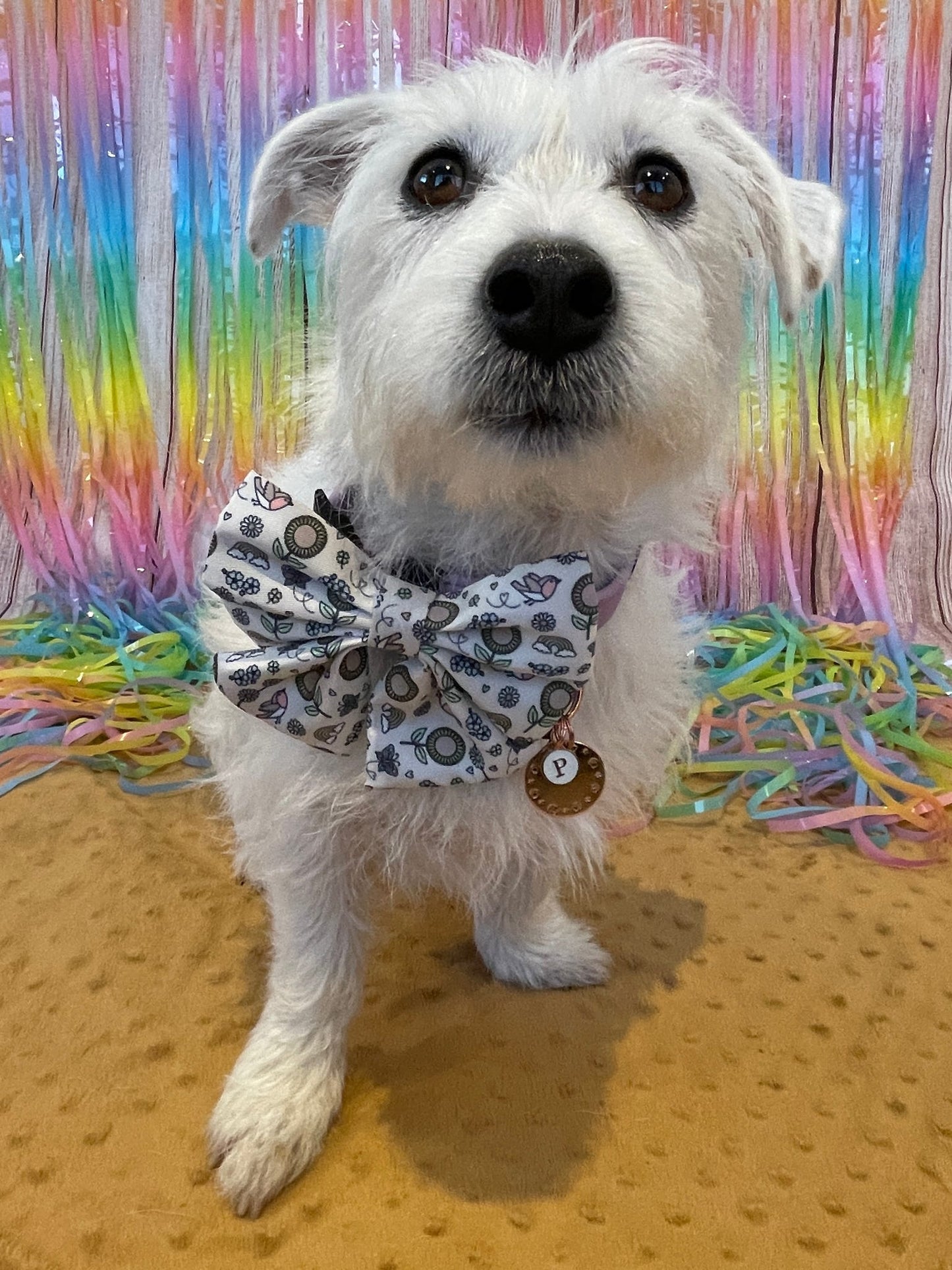 Sailor Bow - Over The Rainbow