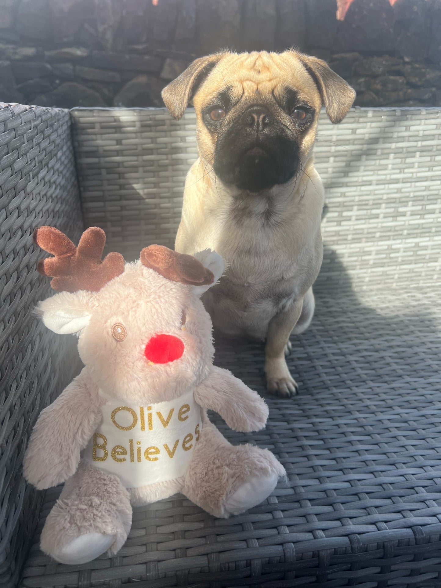 Personalised Christmas Reindeer