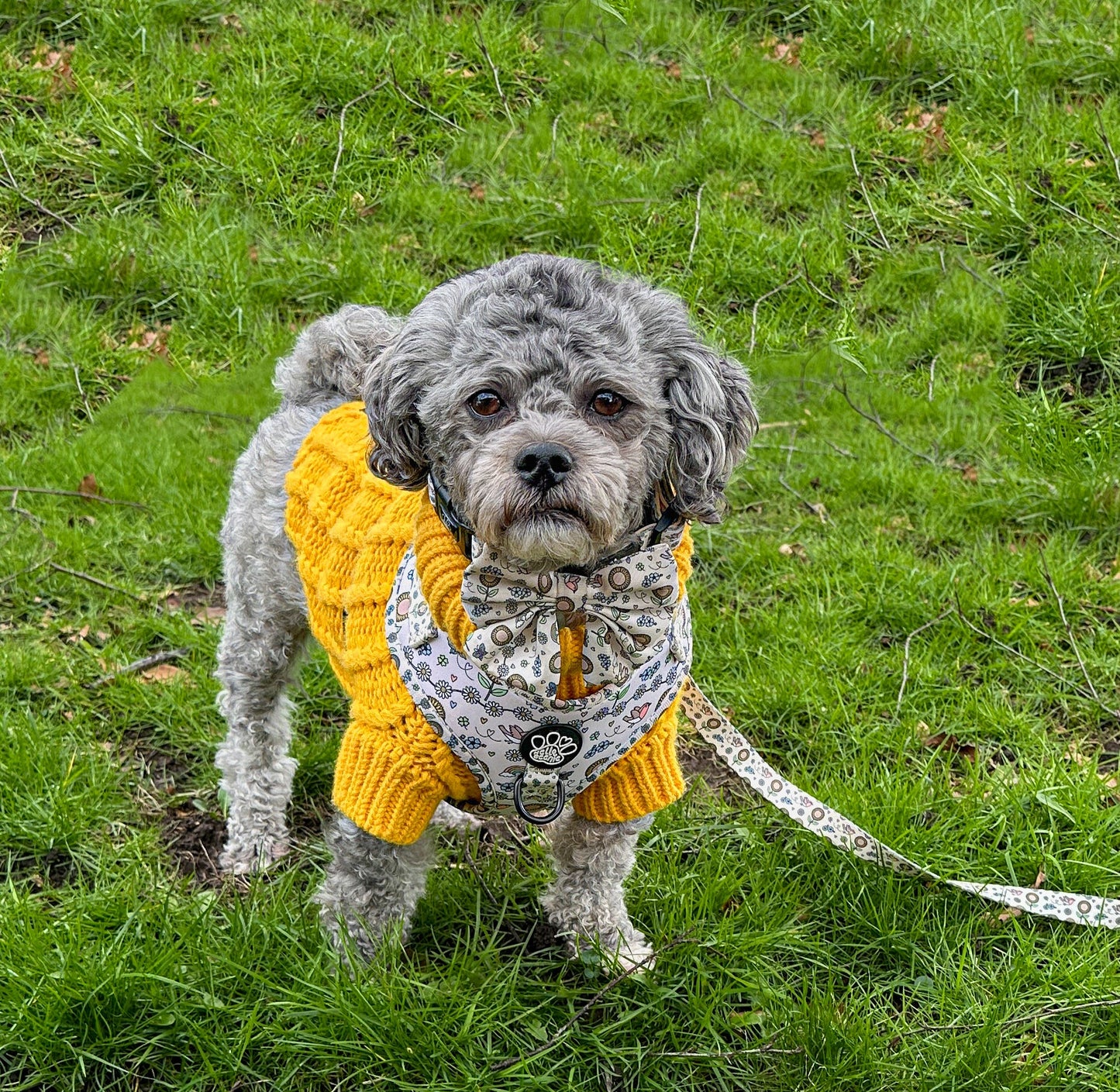 The Cosy Collection - Daffodil Yellow Cosy Knit