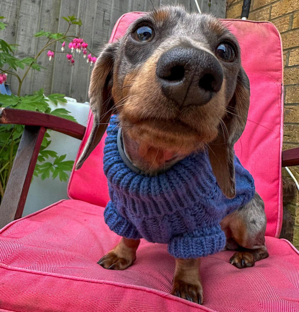 The Cosy Collection - Bluebell Cosy Knit