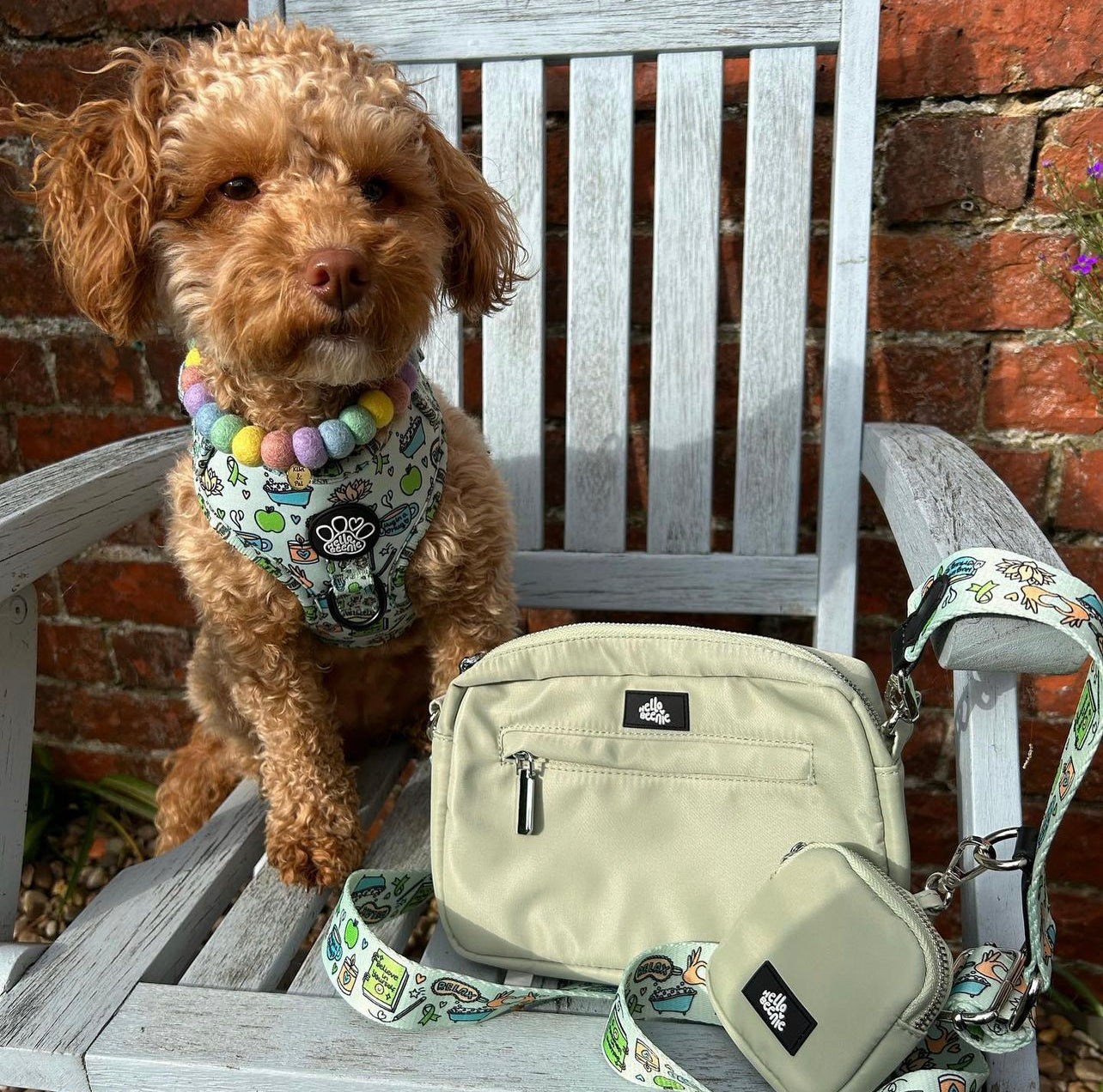 Dog Walking Bag - Pawsitivity