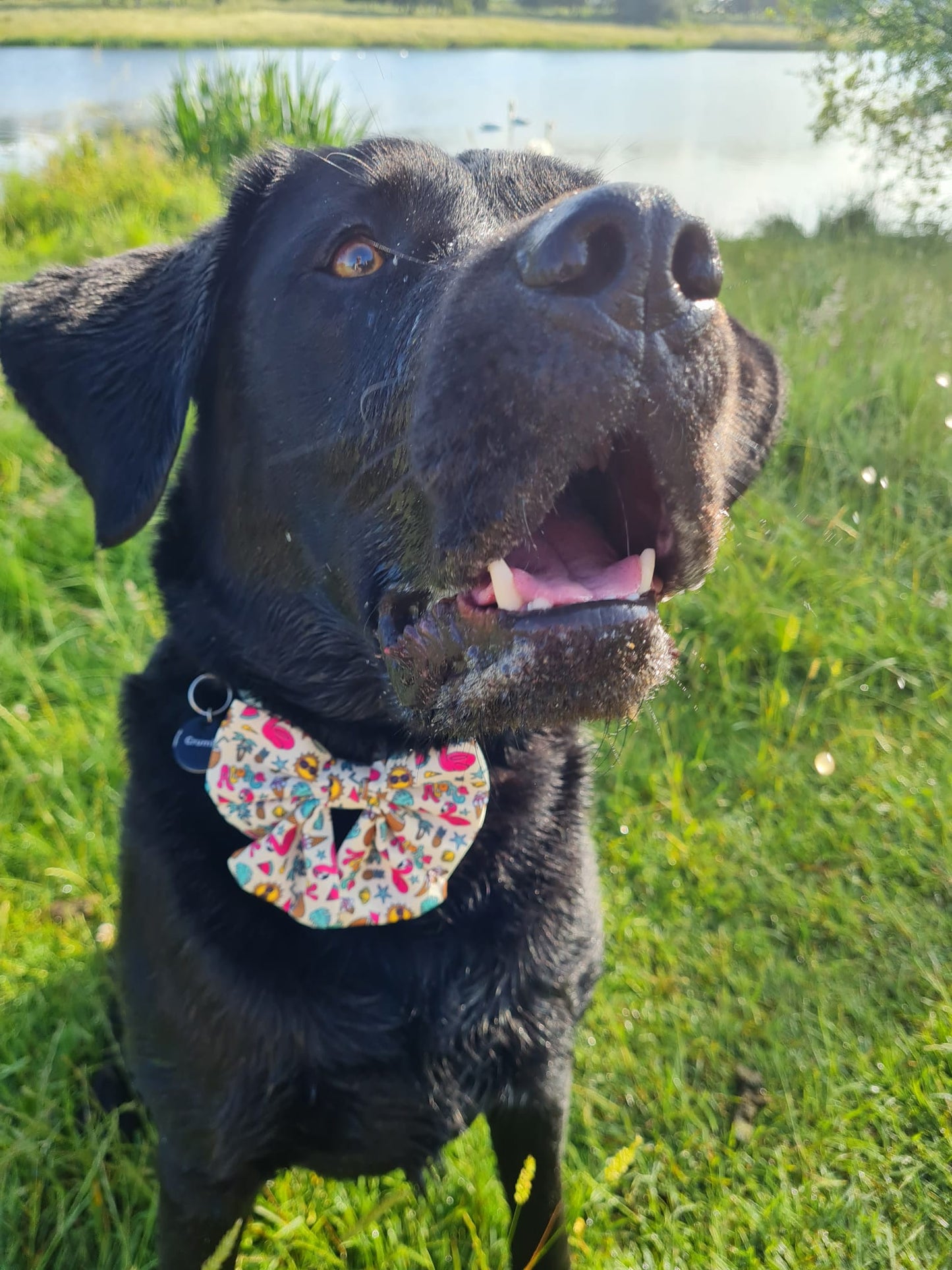 Sailor Bow - Aloha Beaches