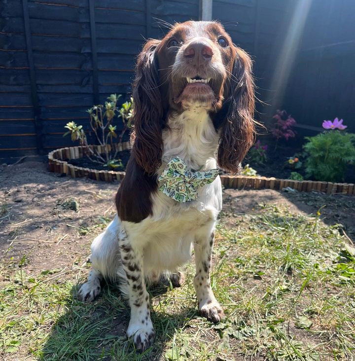 Sailor Bow - Pawsitivity