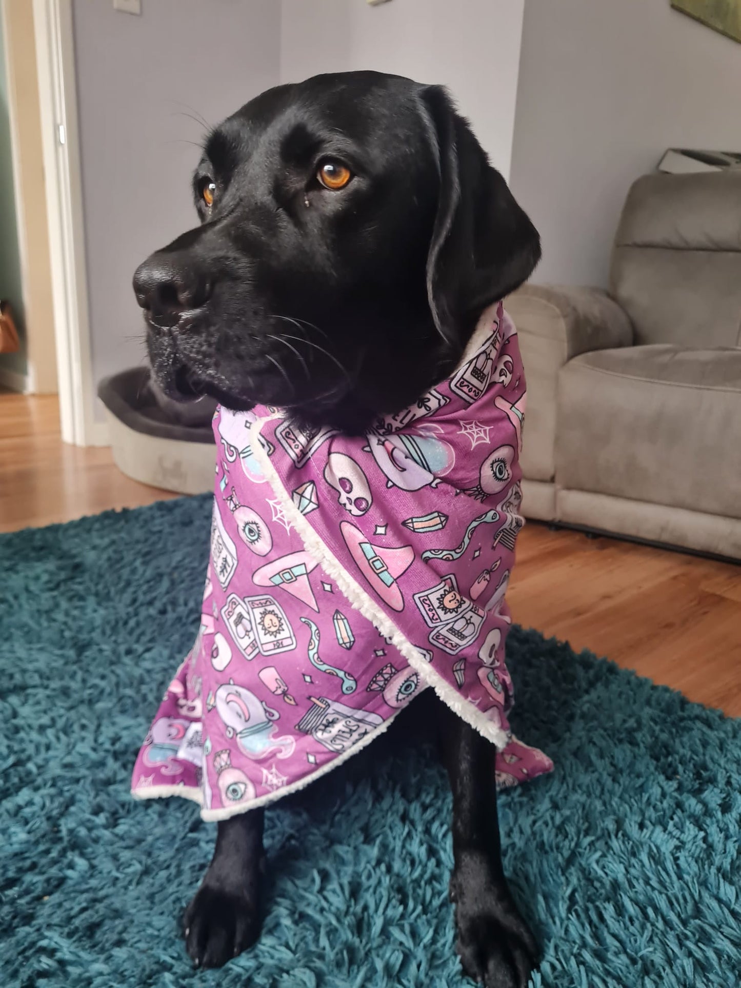 Dog Blanket - Spellbound