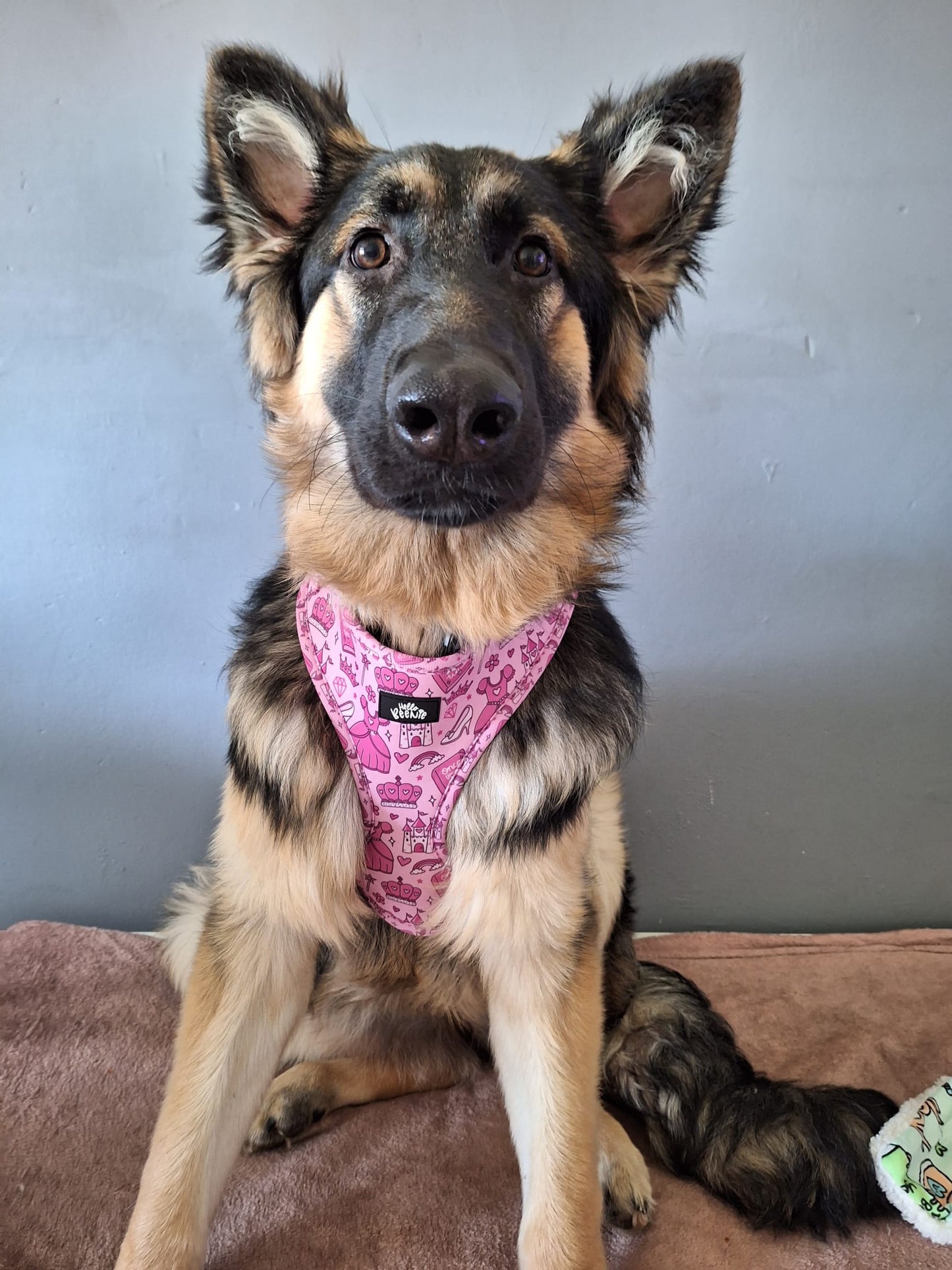 Adjustable Harness - Once Upon A Princess