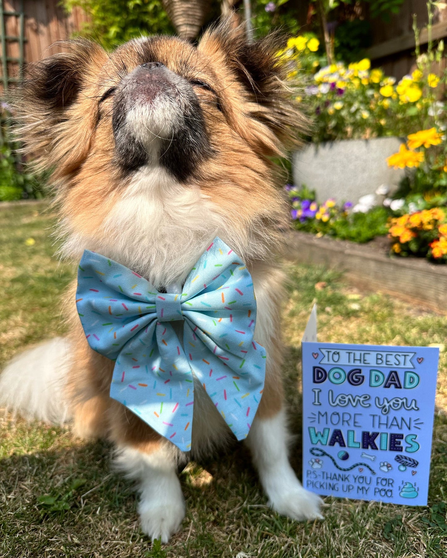 Card - Dog Dad