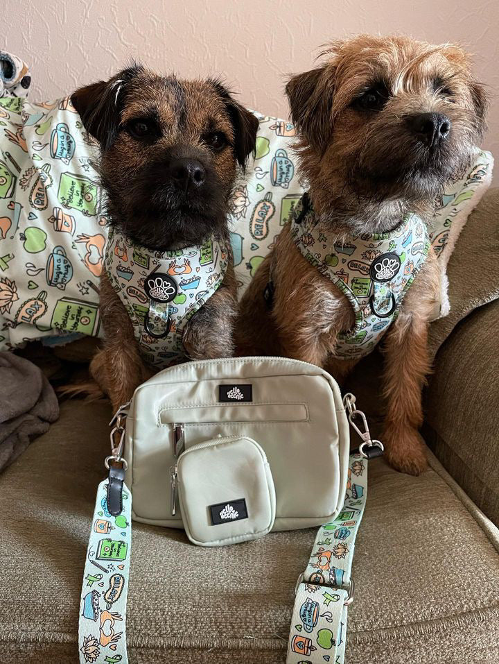 Dog Walking Bag - Pawsitivity