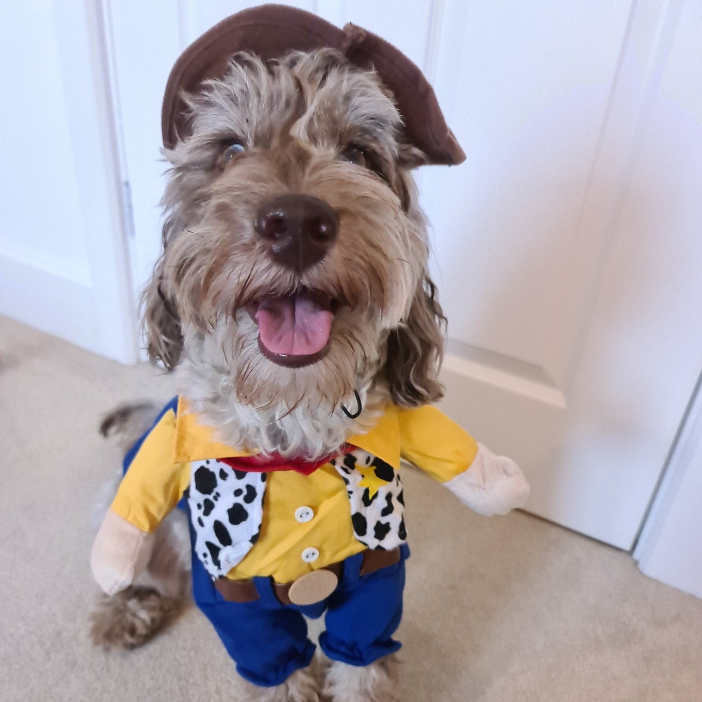 Fancy Dress - Cowboy
