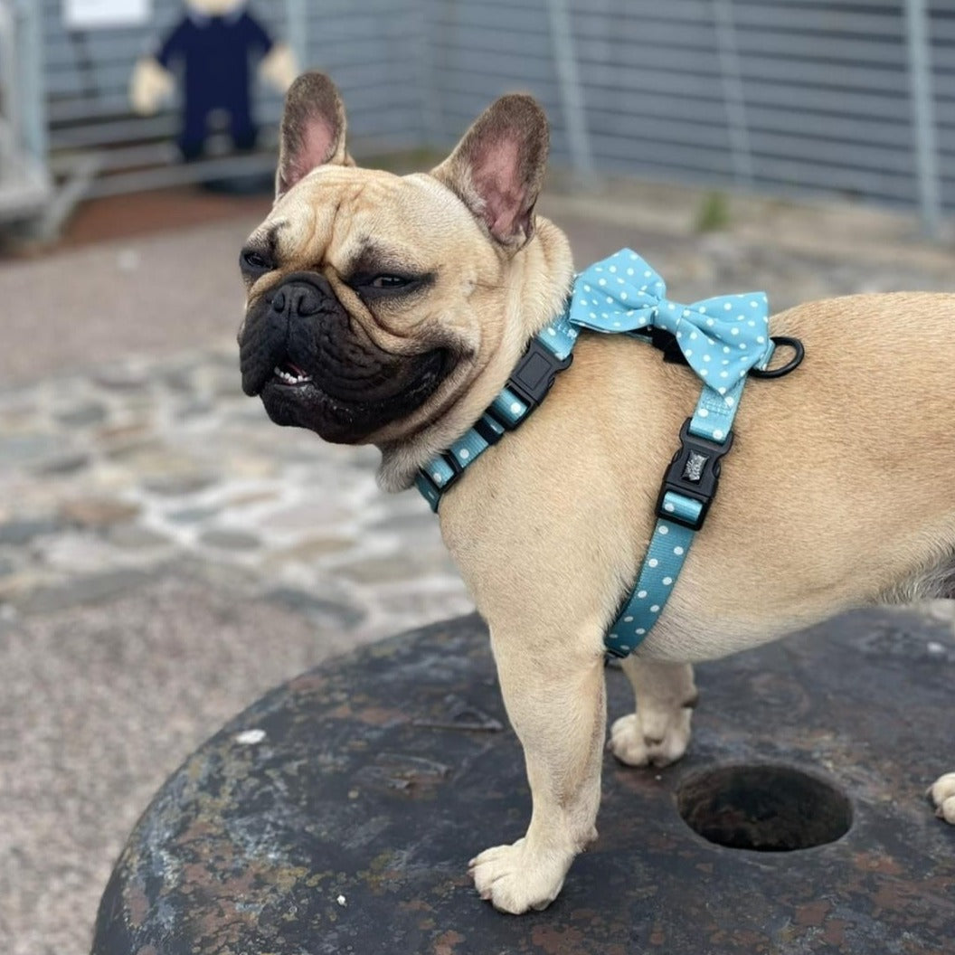 Strap Harness - Oh My Polka Dots