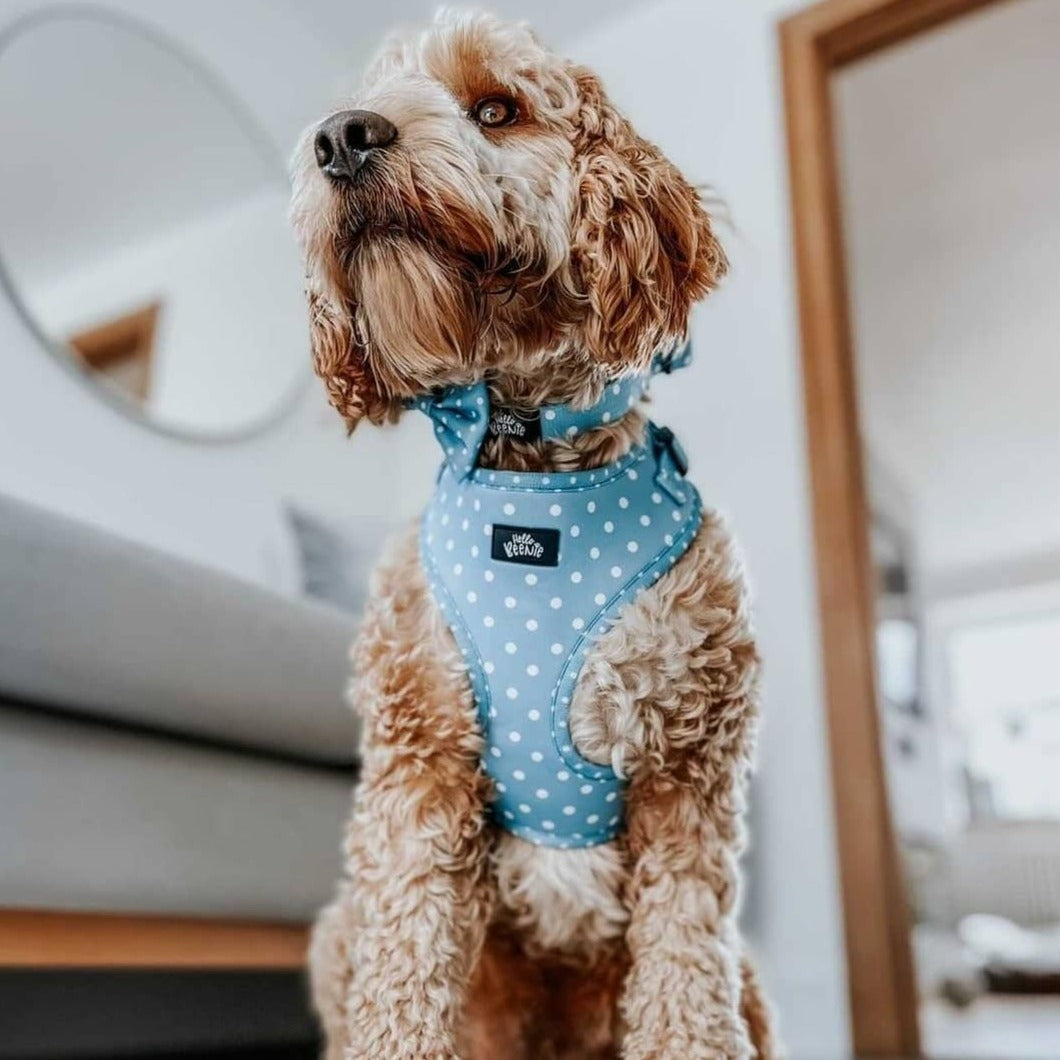 Adjustable Harness - Oh My Polka Dots