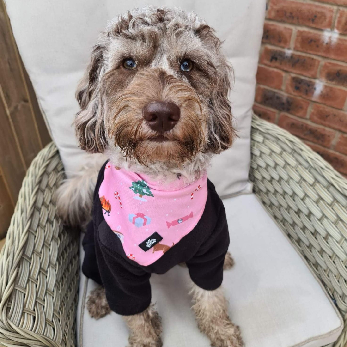 Bandana - Christmas Wishes - Pink