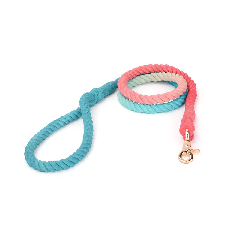 Ombre Rope Lead - Bubblegum pink