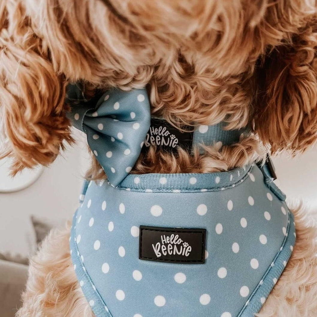Bow - Oh My Polka Dots