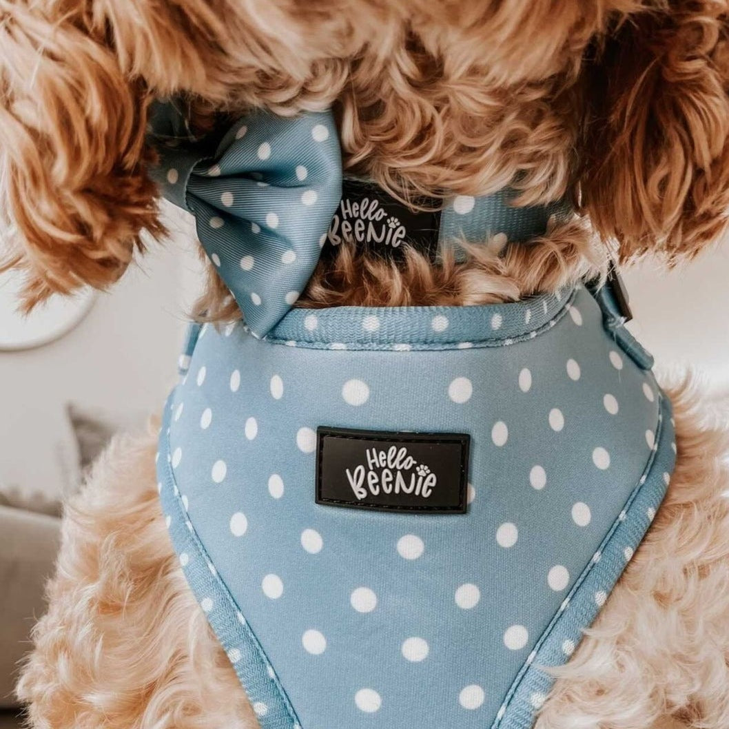 Collar - Oh My Polka Dots