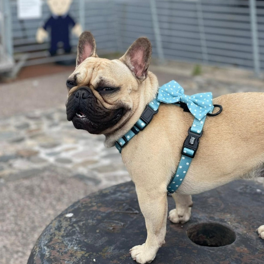 Bow - Oh My Polka Dots