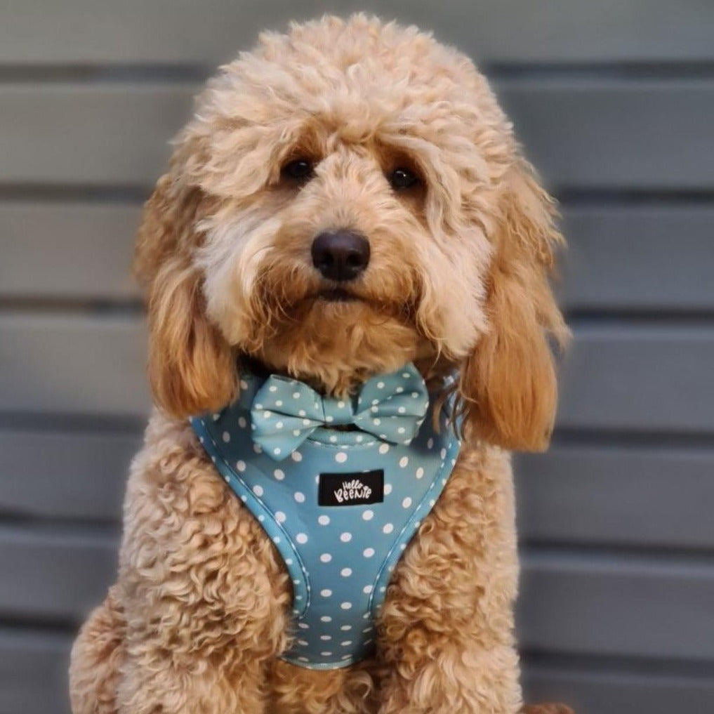 Bow - Oh My Polka Dots