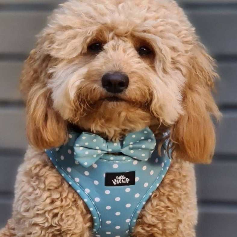 Adjustable Harness - Oh My Polka Dots