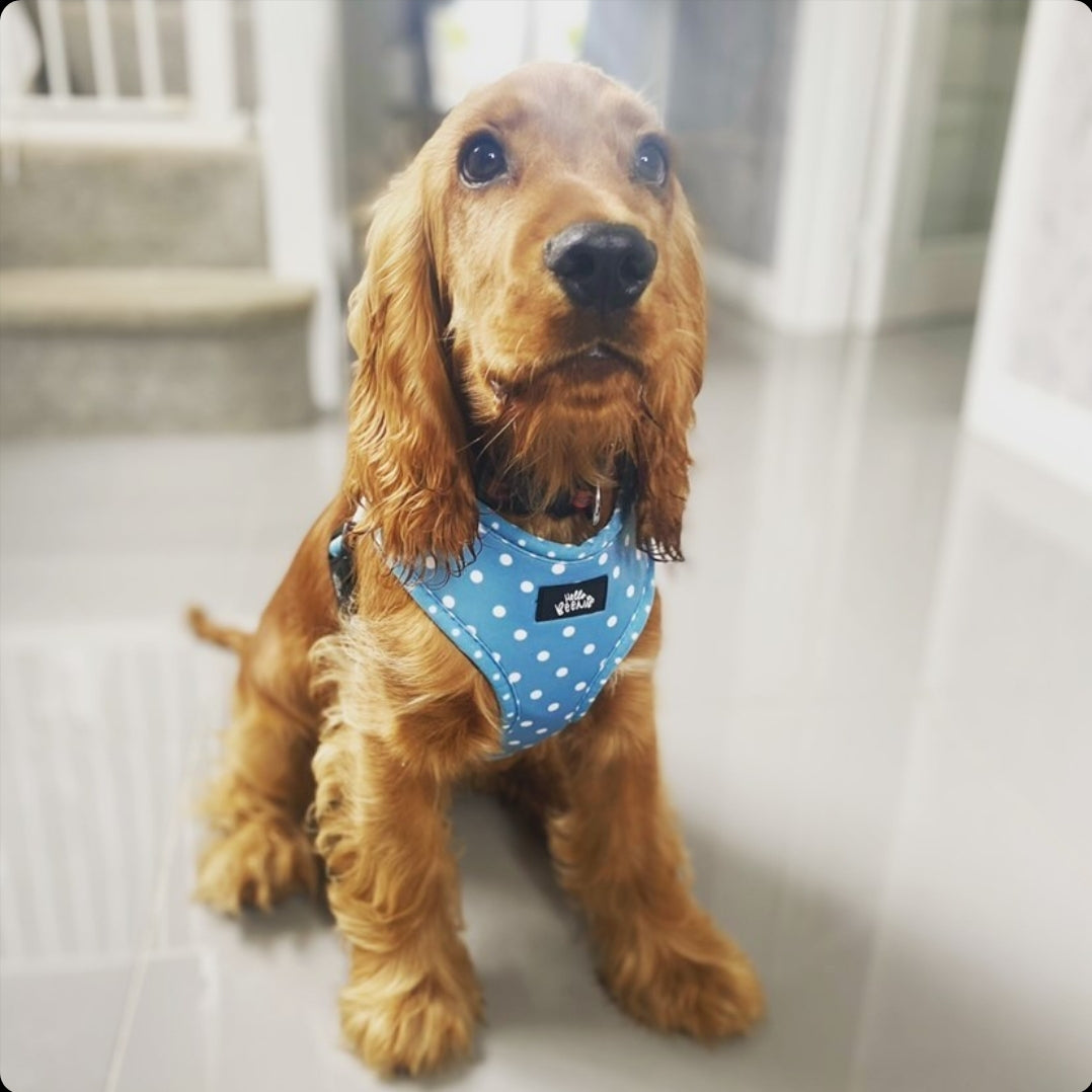 Adjustable Harness - Oh My Polka Dots