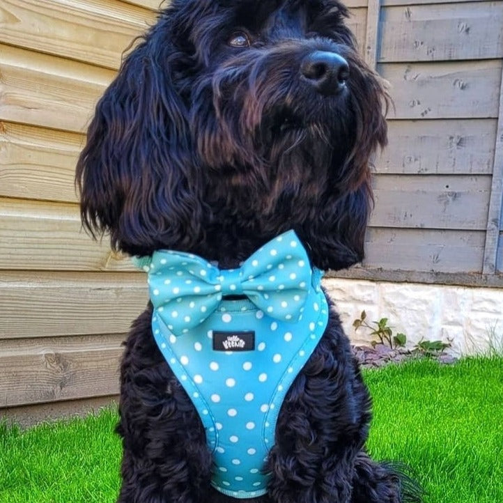 Adjustable Harness - Oh My Polka Dots