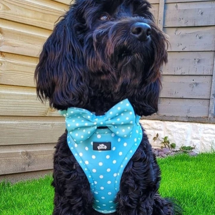 Bow - Oh My Polka Dots
