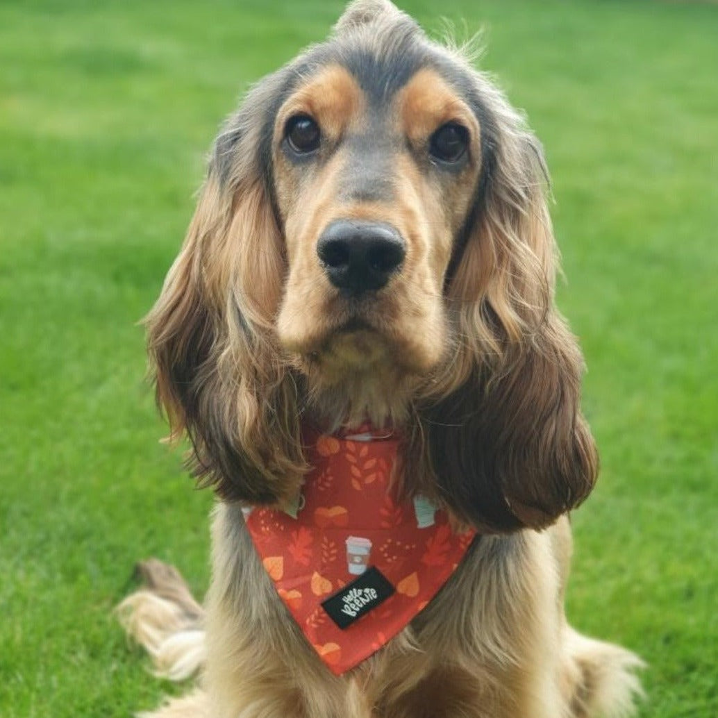 Bandana - Autumn Vibes