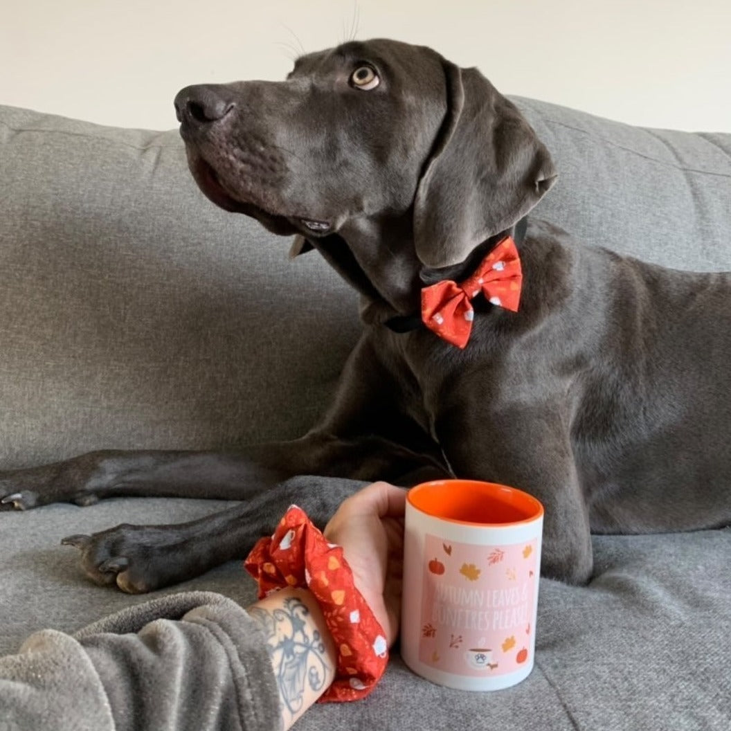 Bow - Autumn Vibes