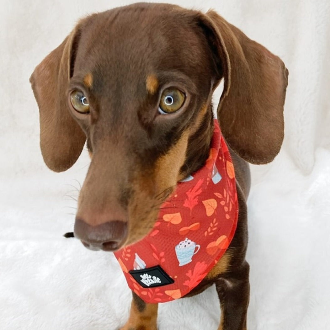 Bandana - Autumn Vibes